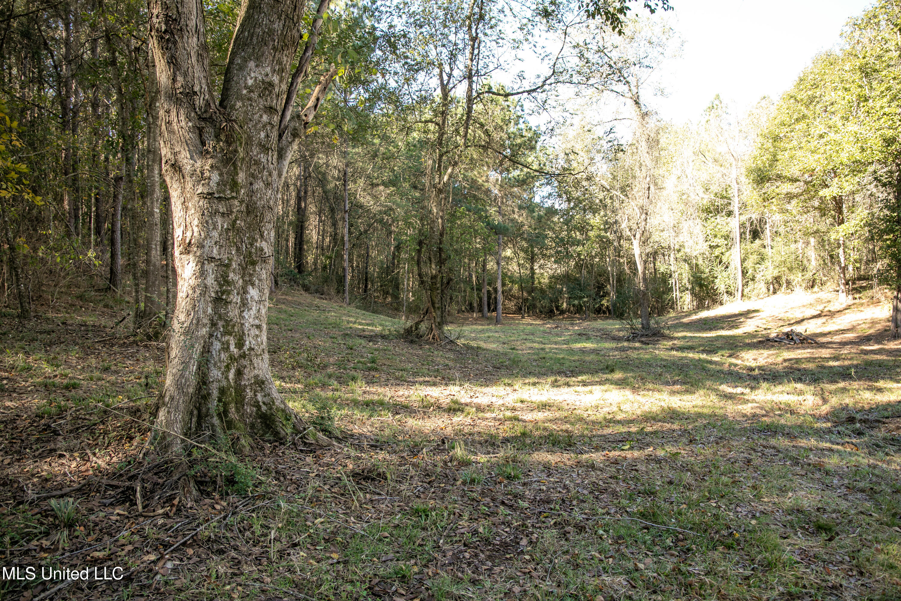 Union Road, Hazlehurst, Mississippi image 16