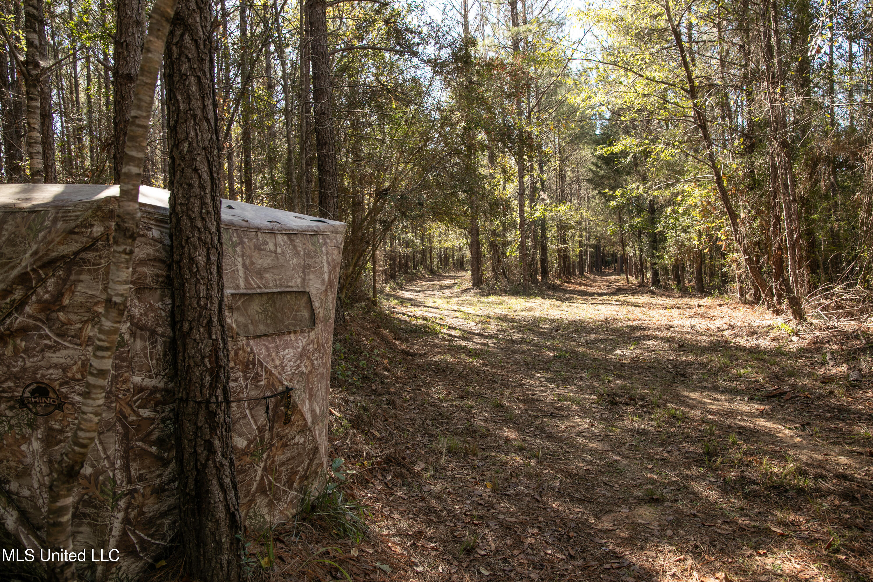 Union Road, Hazlehurst, Mississippi image 9