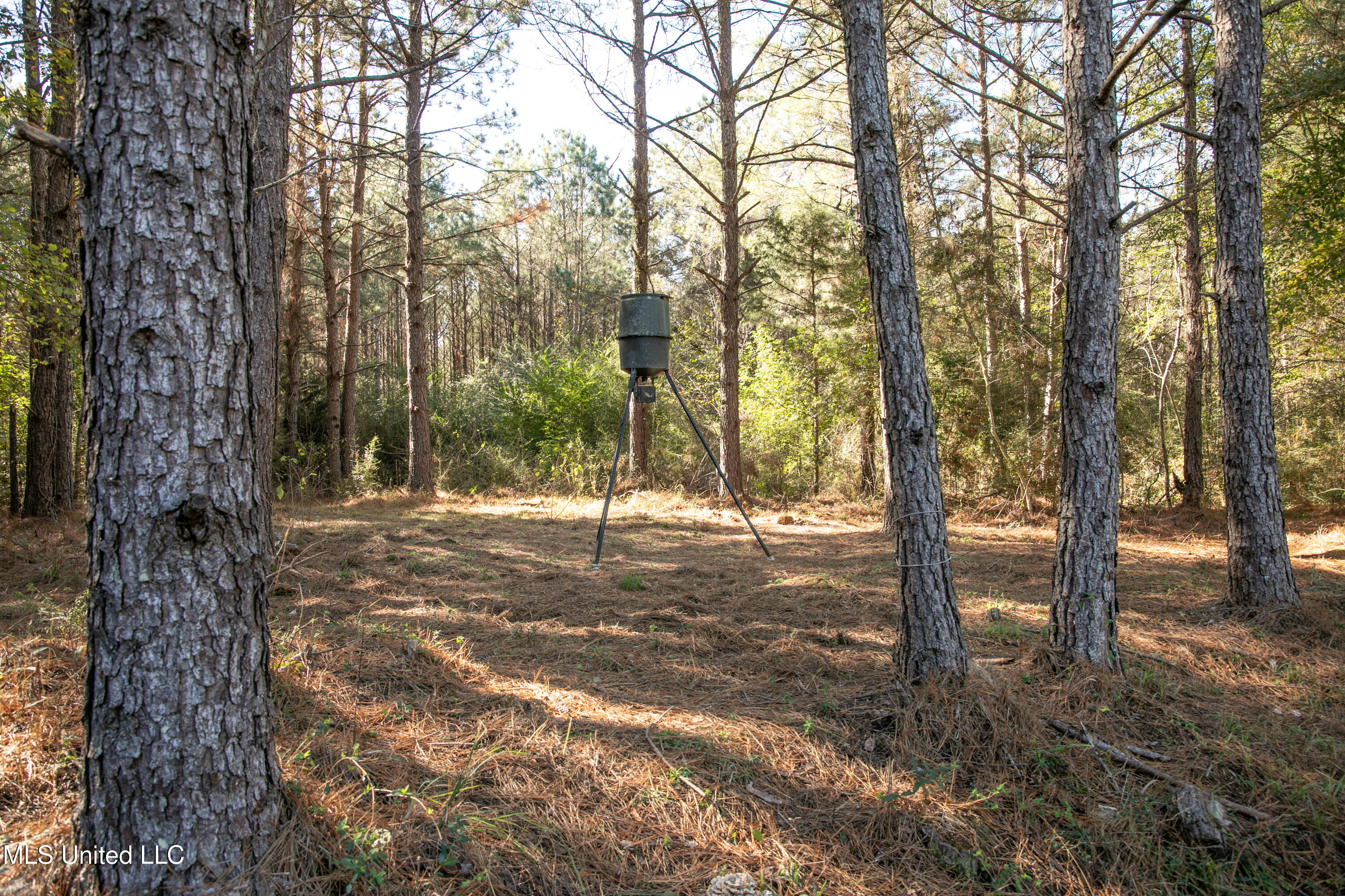 Union Road, Hazlehurst, Mississippi image 28