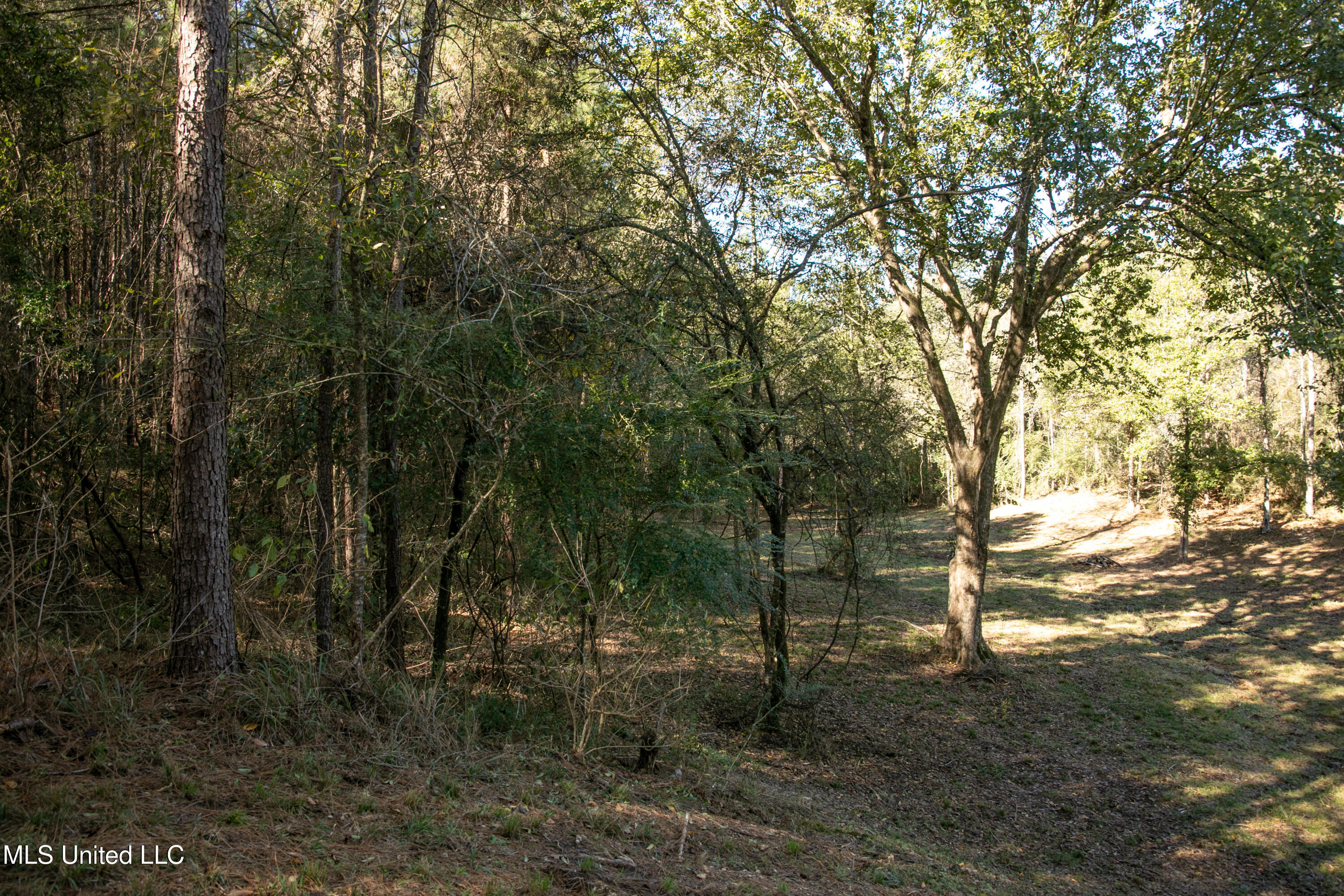 Union Road, Hazlehurst, Mississippi image 19