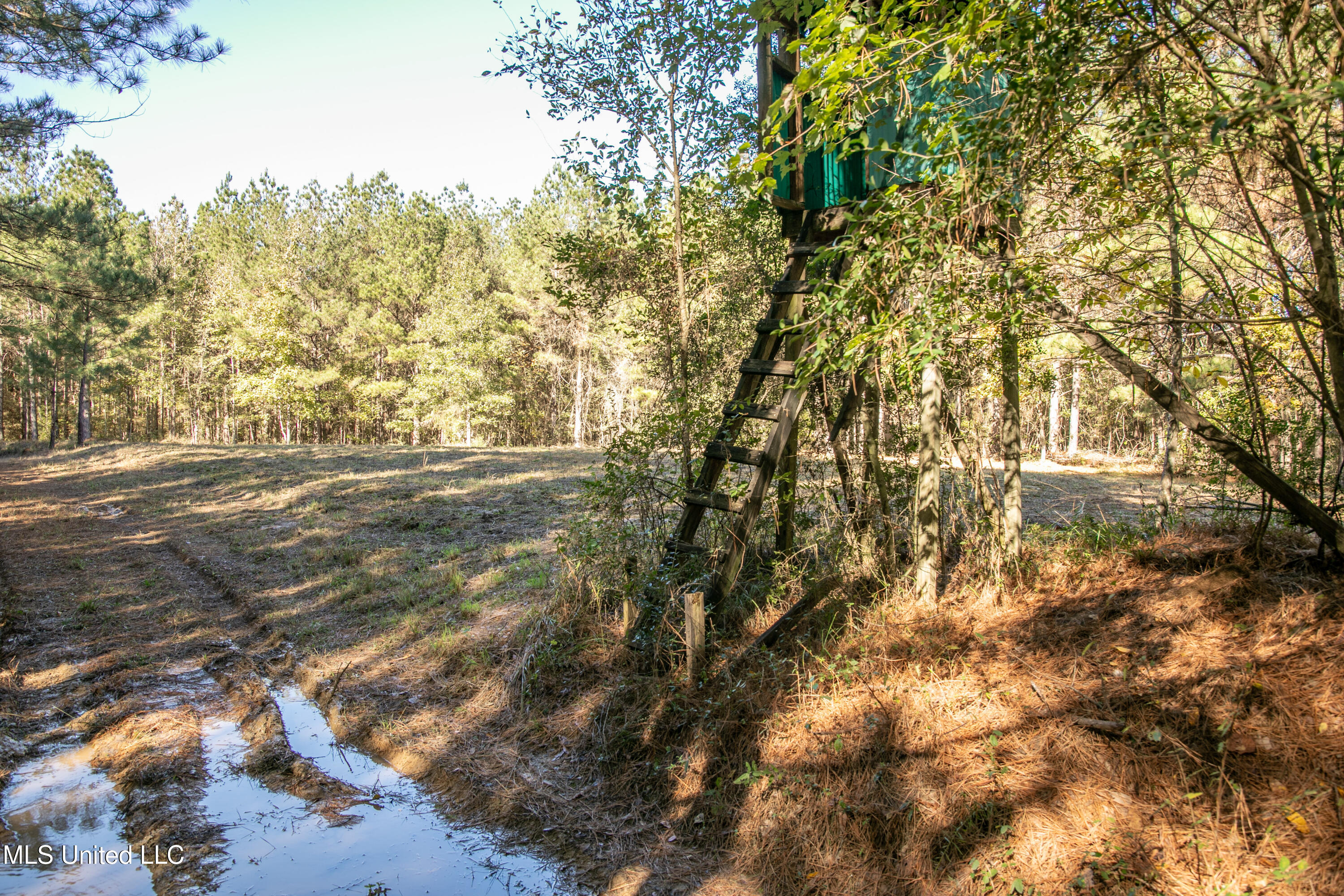 Union Road, Hazlehurst, Mississippi image 25