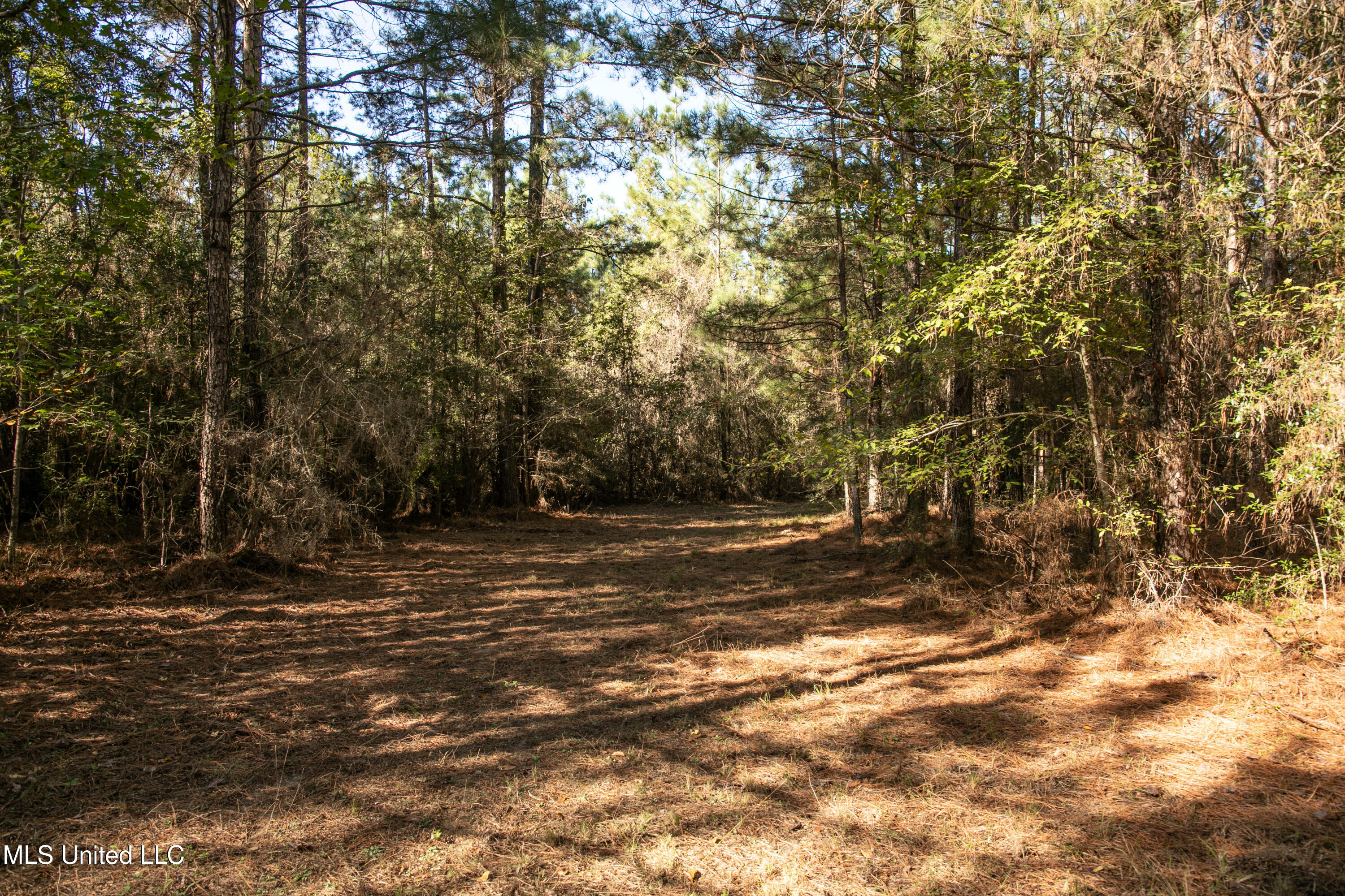 Union Road, Hazlehurst, Mississippi image 3