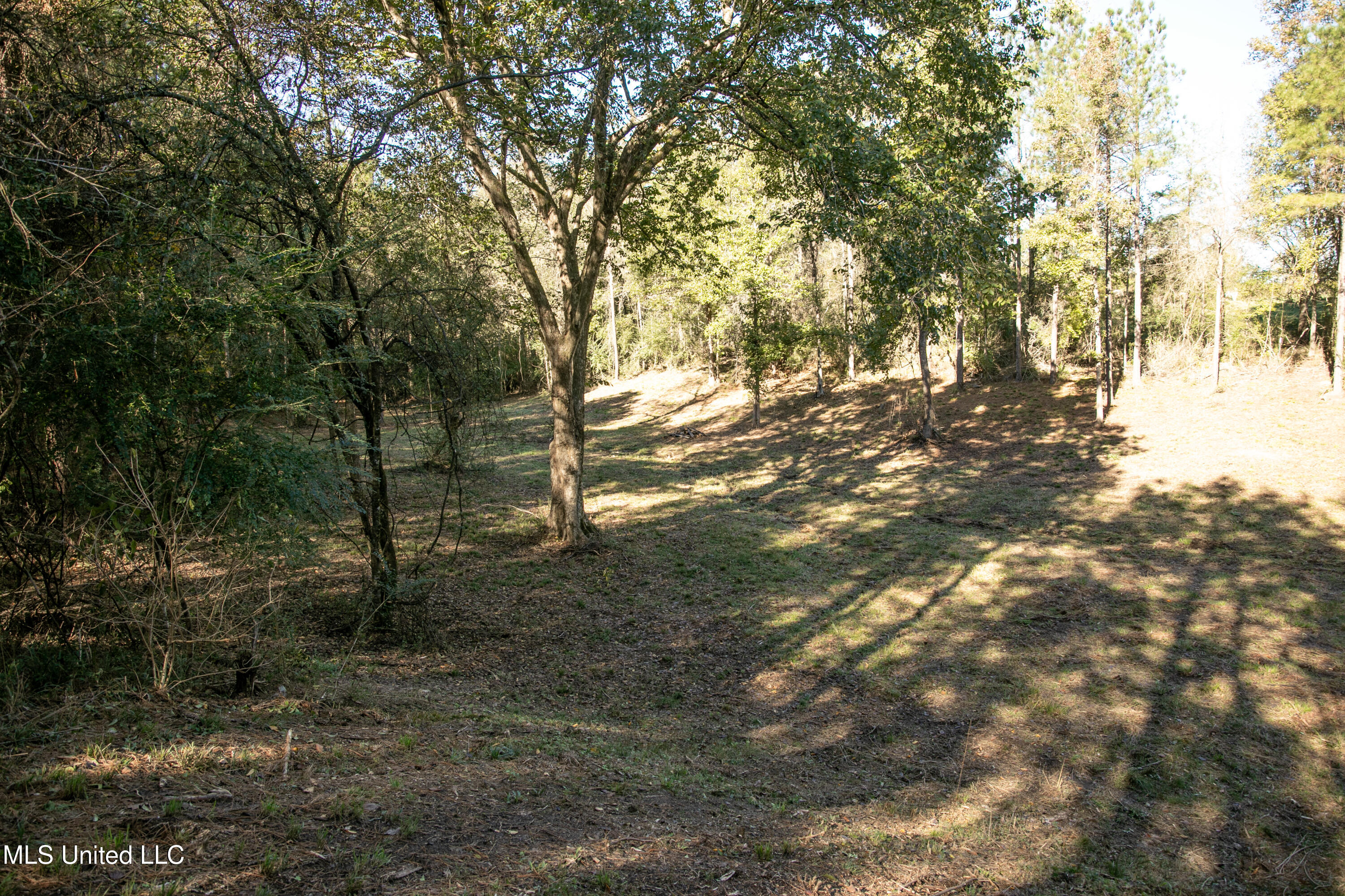 Union Road, Hazlehurst, Mississippi image 18