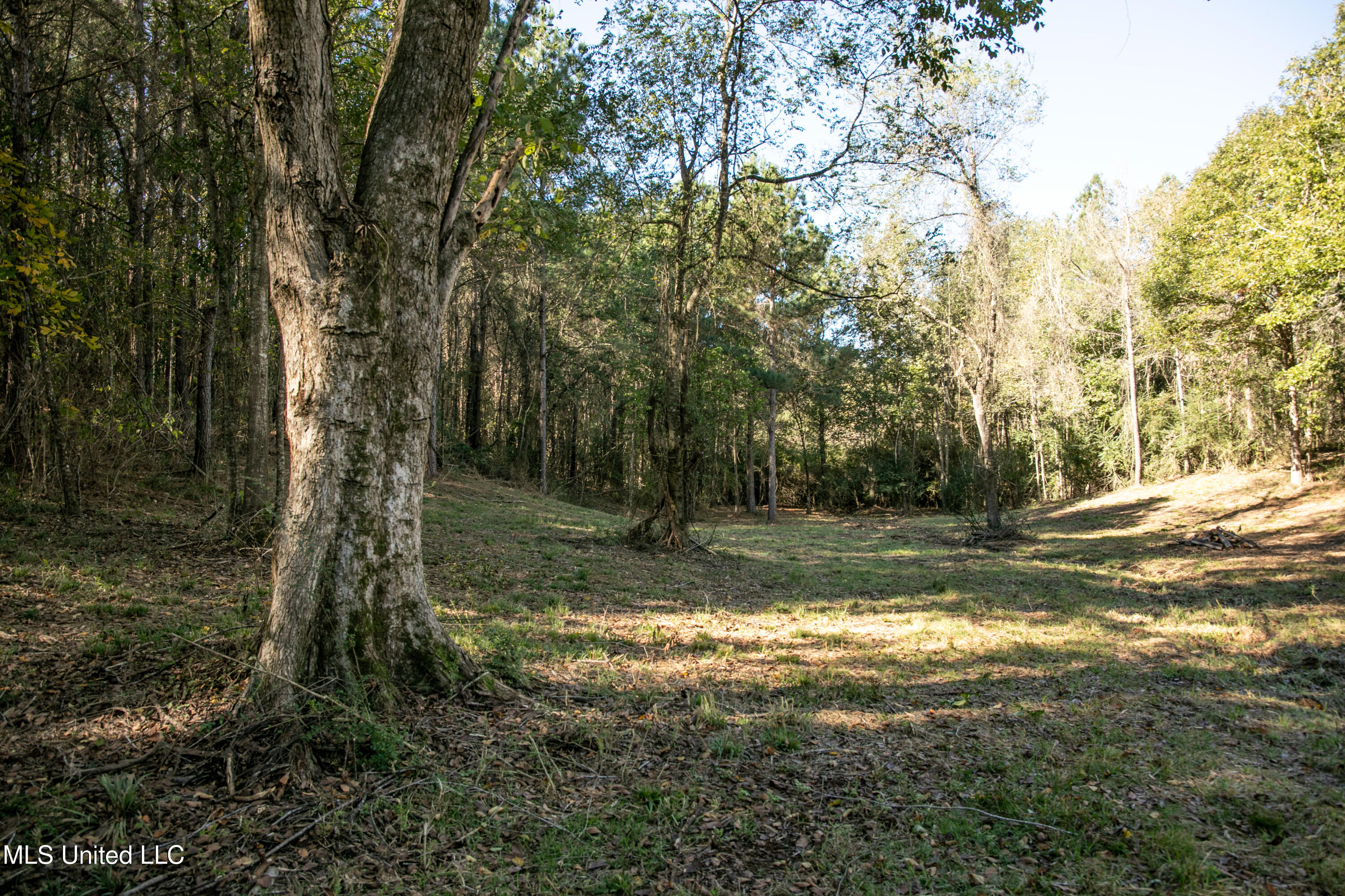 Union Road, Hazlehurst, Mississippi image 17