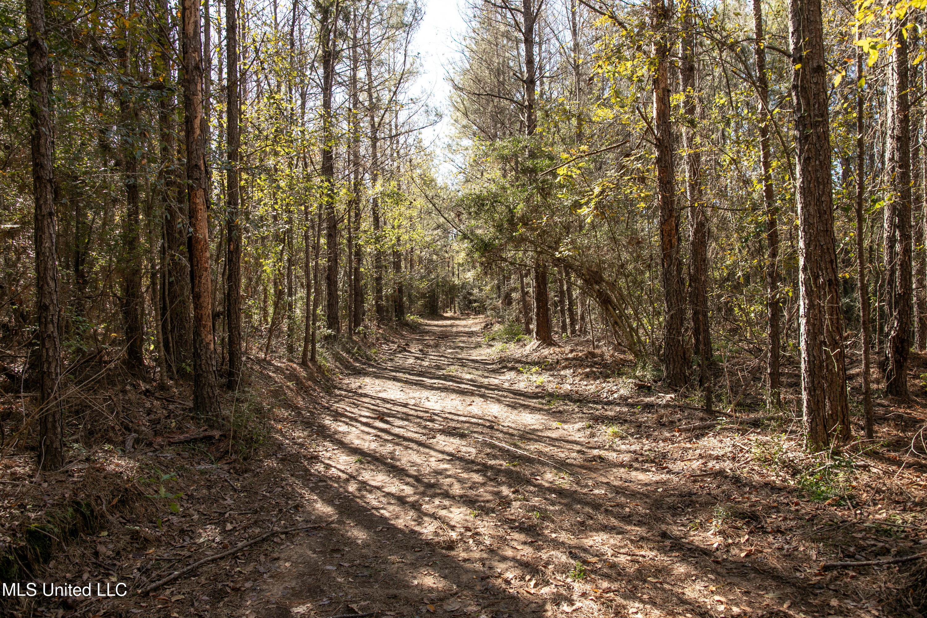 Union Road, Hazlehurst, Mississippi image 7