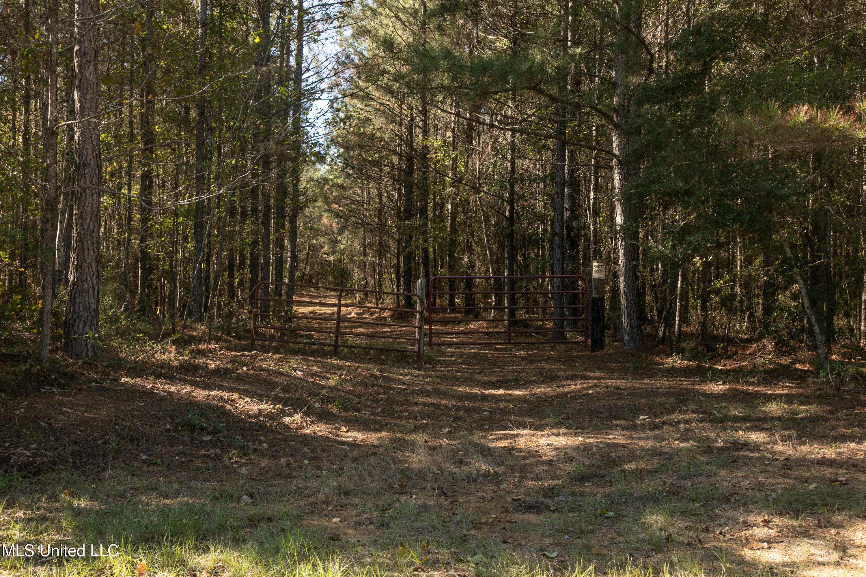 Union Road, Hazlehurst, Mississippi image 2