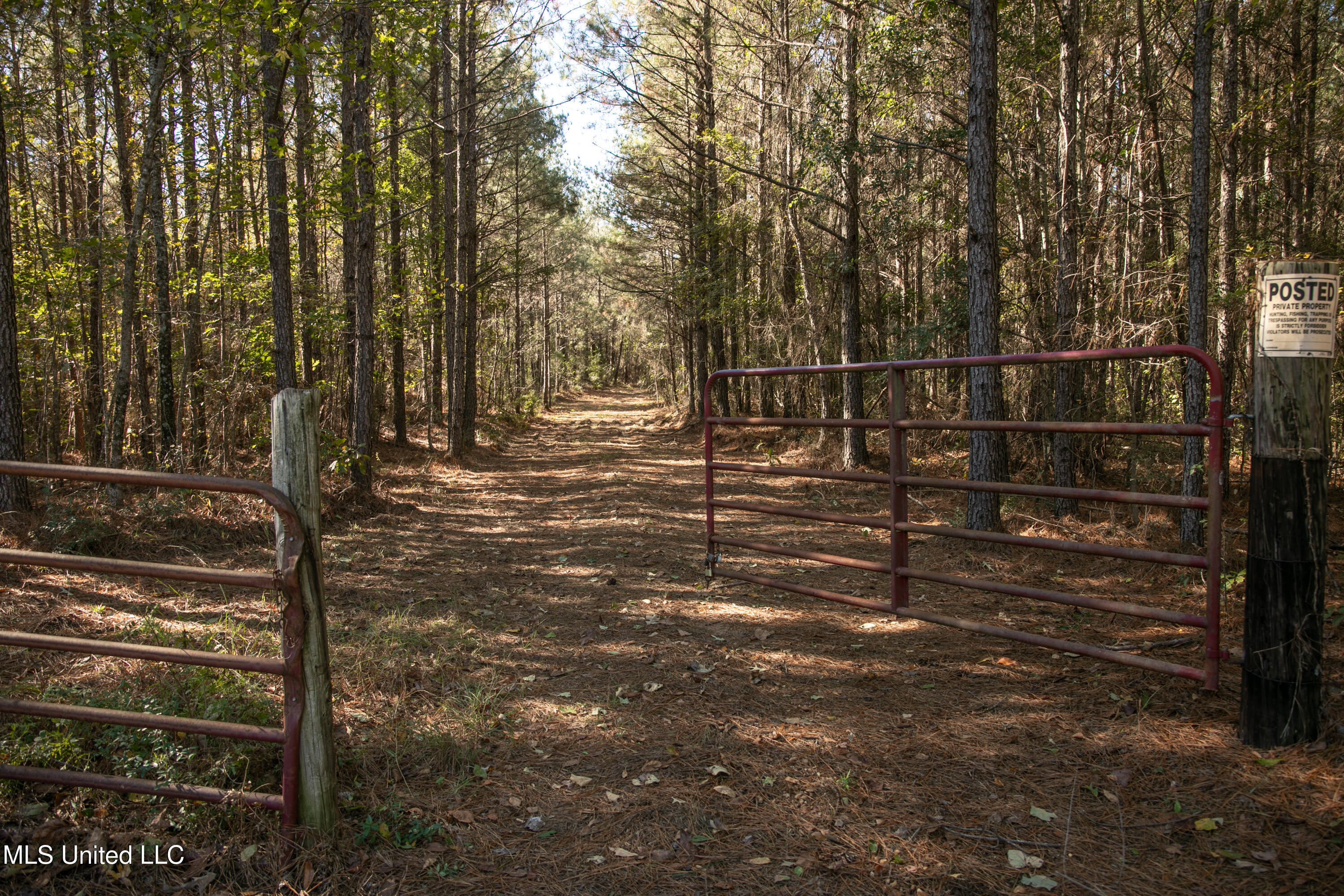 Union Road, Hazlehurst, Mississippi image 1