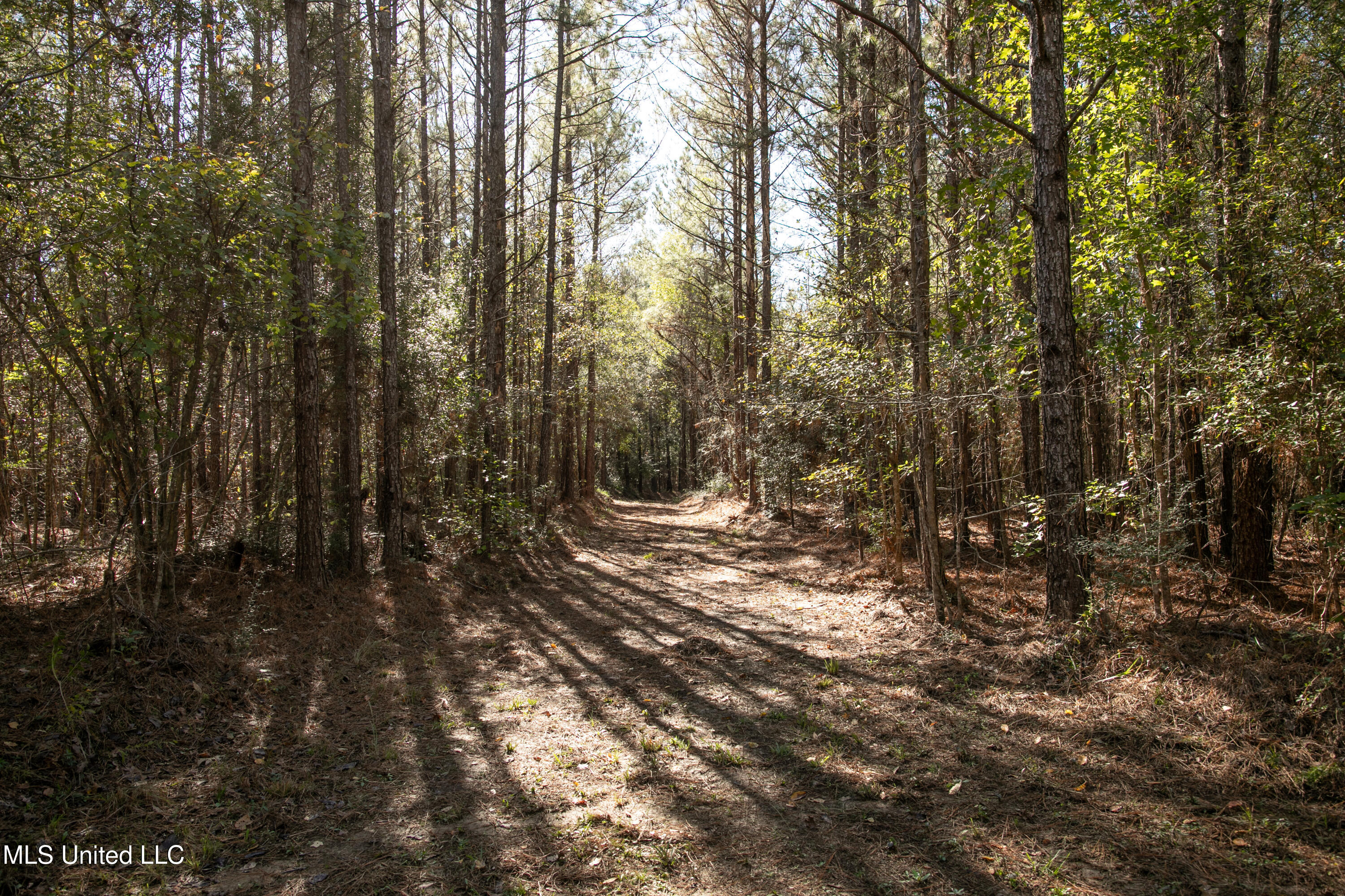 Union Road, Hazlehurst, Mississippi image 4