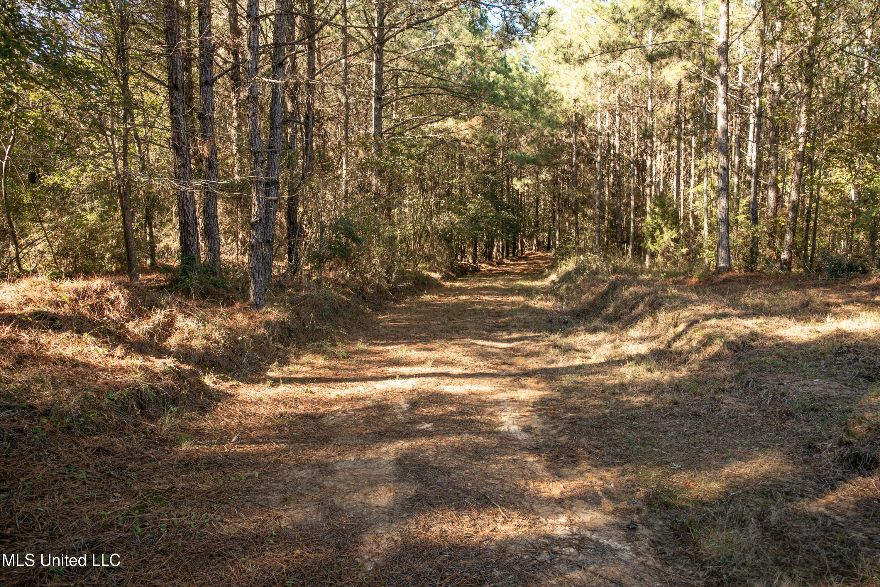 Union Road, Hazlehurst, Mississippi image 27