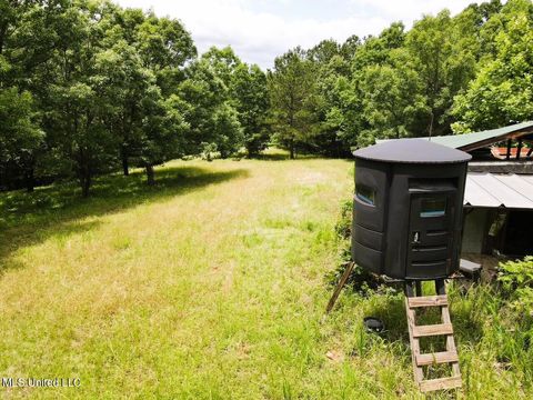 Vacant Land For Sale - TBD Pepper Town Rd<br/> Eupora, MS 39744