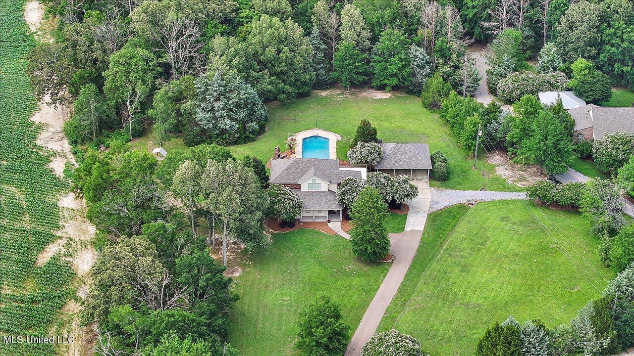 210 Planters Grove, Brandon, Mississippi image 1