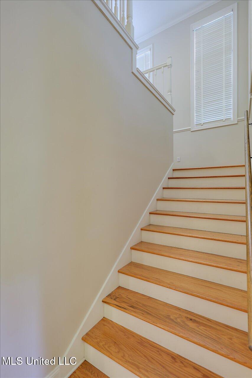 210 Planters Grove, Brandon, Mississippi image 36