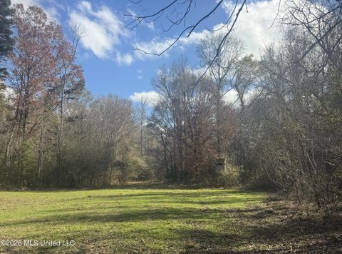 Vacant Land For Sale - Mckenzie Road<br/> Walthall County, Tylertown, MS 39667