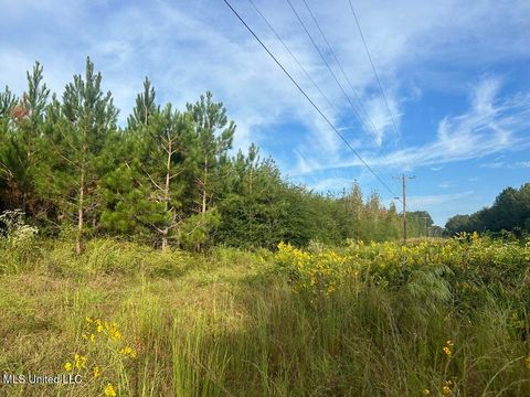 Vacant Land For Sale - TBD N River Road<br/> Pike County, Summit, MS 39666