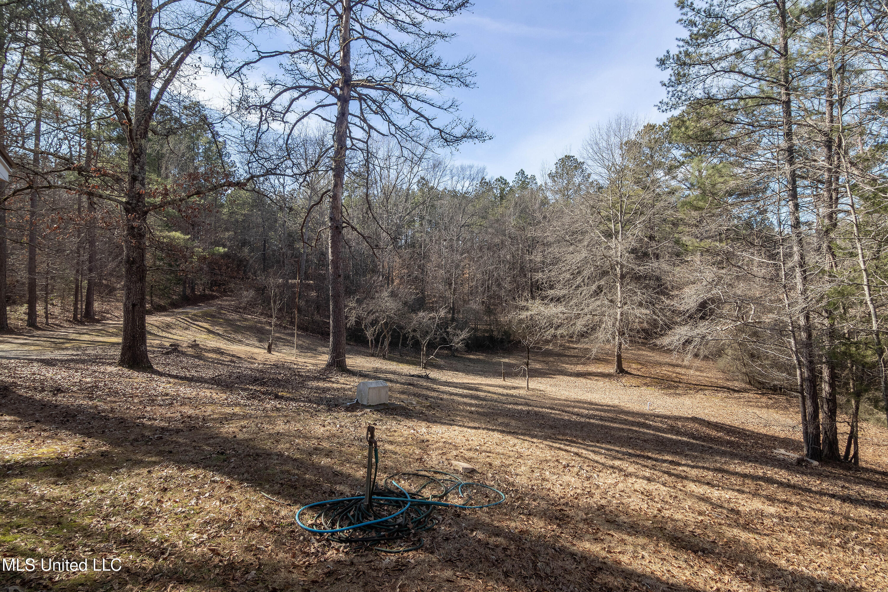 102 Gadd Road, Potts Camp, Mississippi image 17