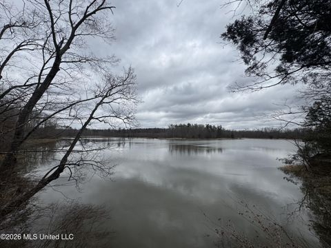 Vacant Land For Sale - 157 Eulogy Road<br/> Lexington, MS 39095