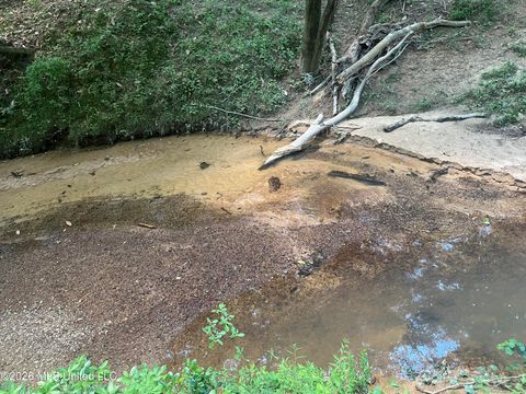 Vacant Land For Sale - 5734 Hebron Road<br/> Amite County, Liberty, MS 39645