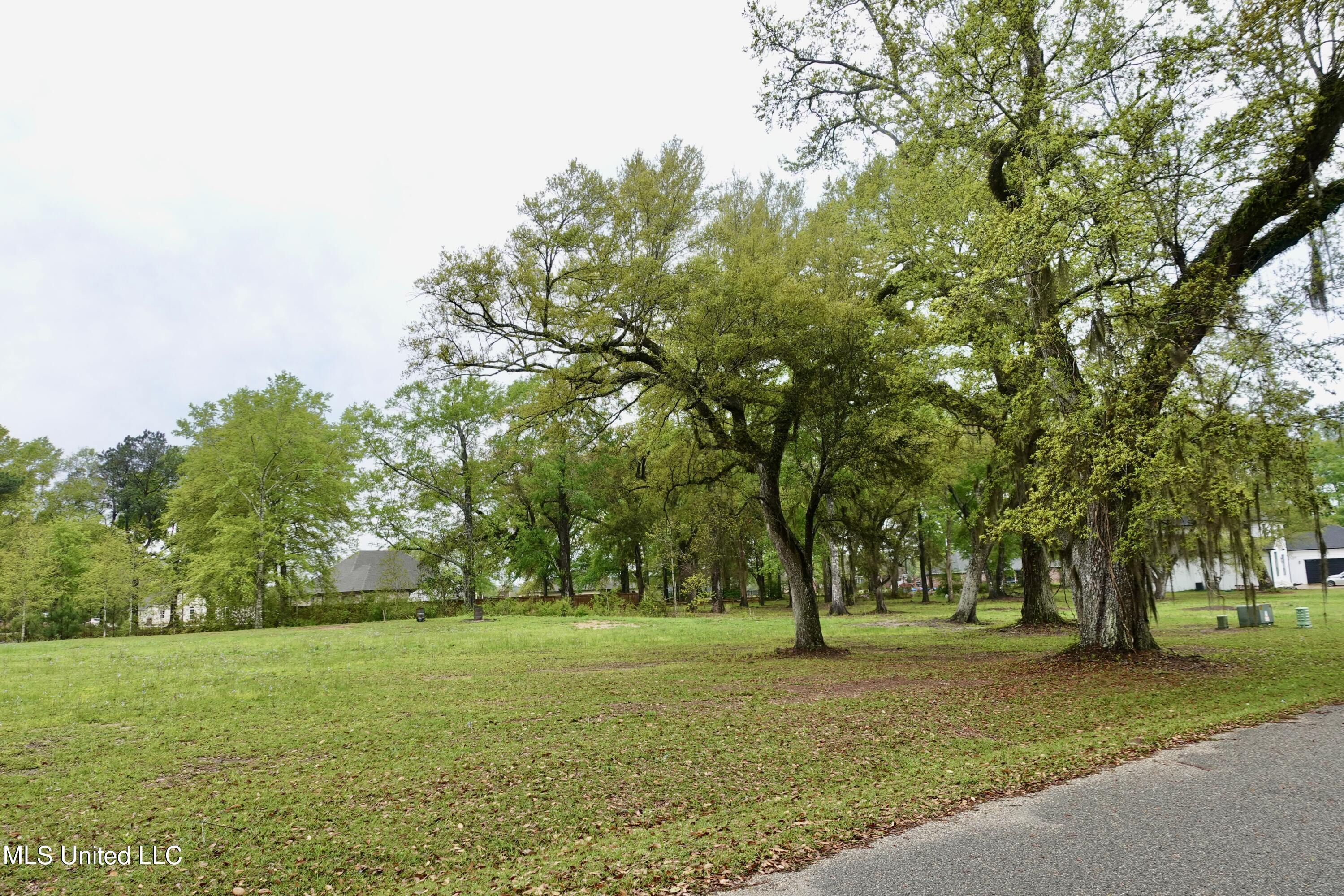 Lot 20 21 Lancair Drive, Picayune, Mississippi image 6