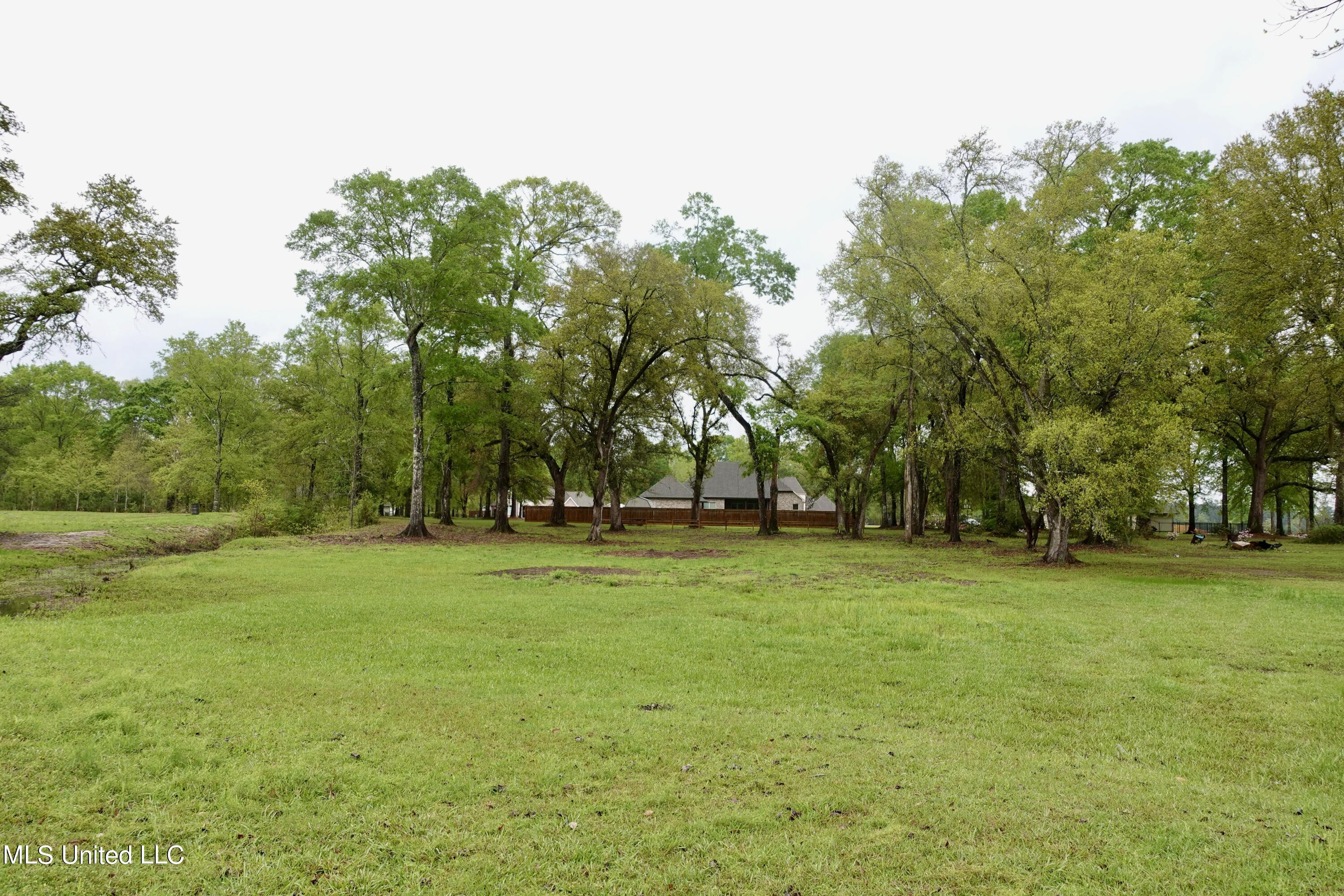 Lot 20 21 Lancair Drive, Picayune, Mississippi image 8