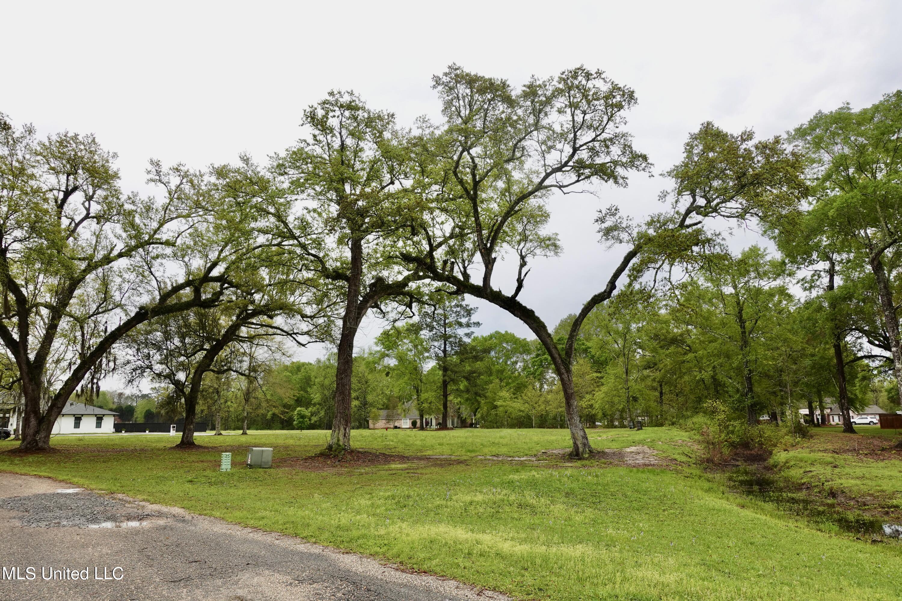 Lot 20 21 Lancair Drive, Picayune, Mississippi image 10