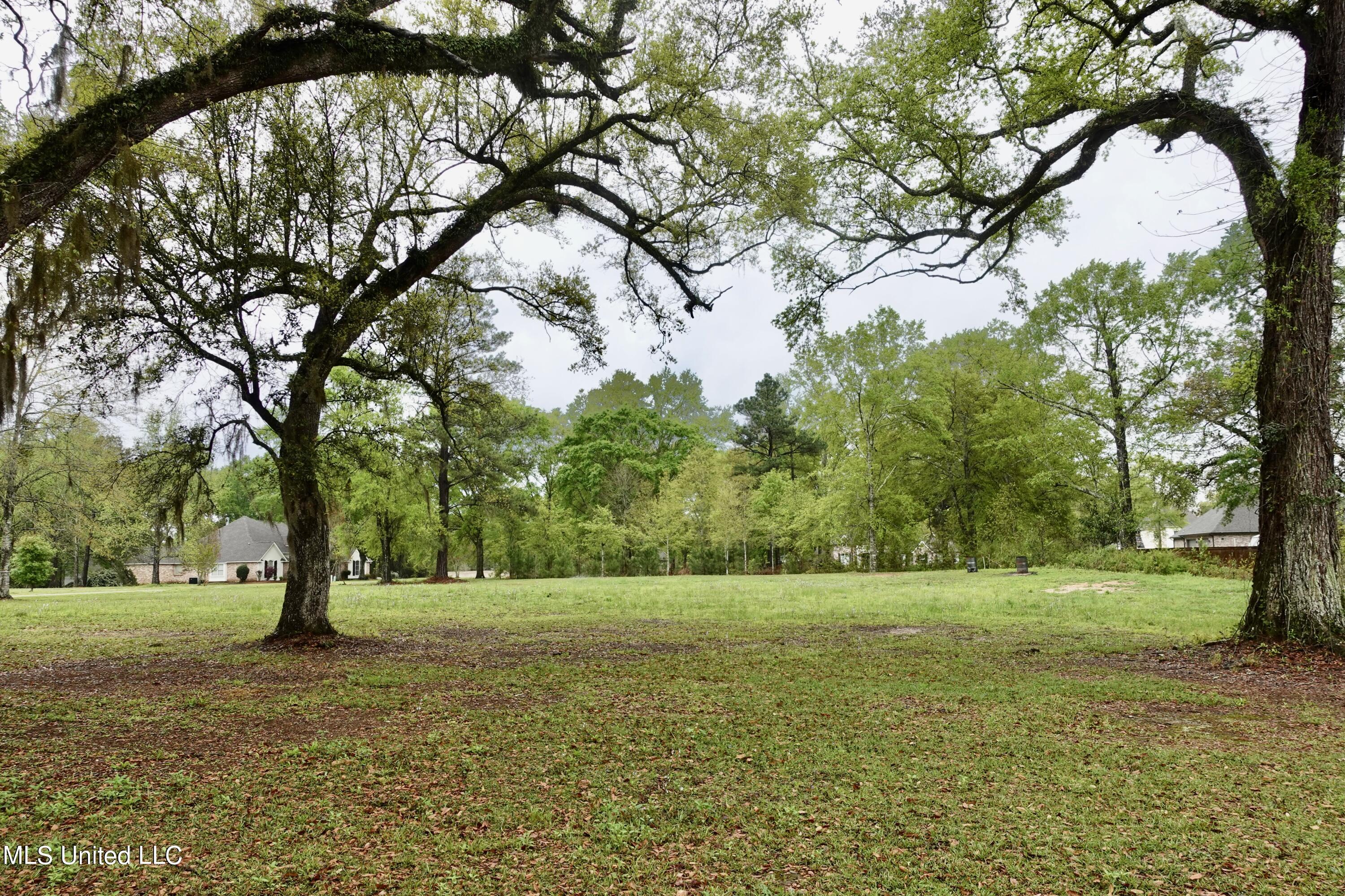 Lot 20 21 Lancair Drive, Picayune, Mississippi image 4