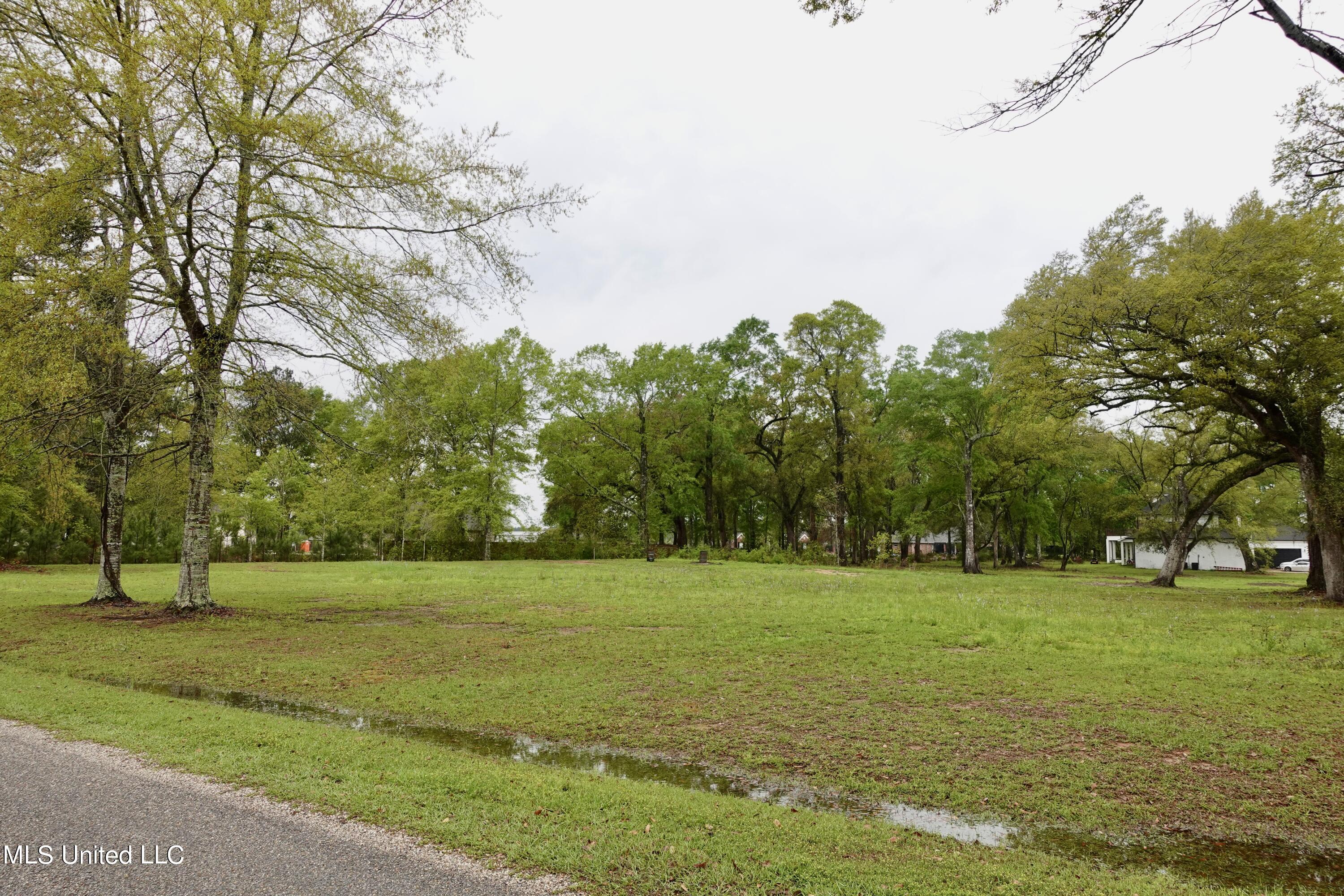 Lot 20 21 Lancair Drive, Picayune, Mississippi image 5