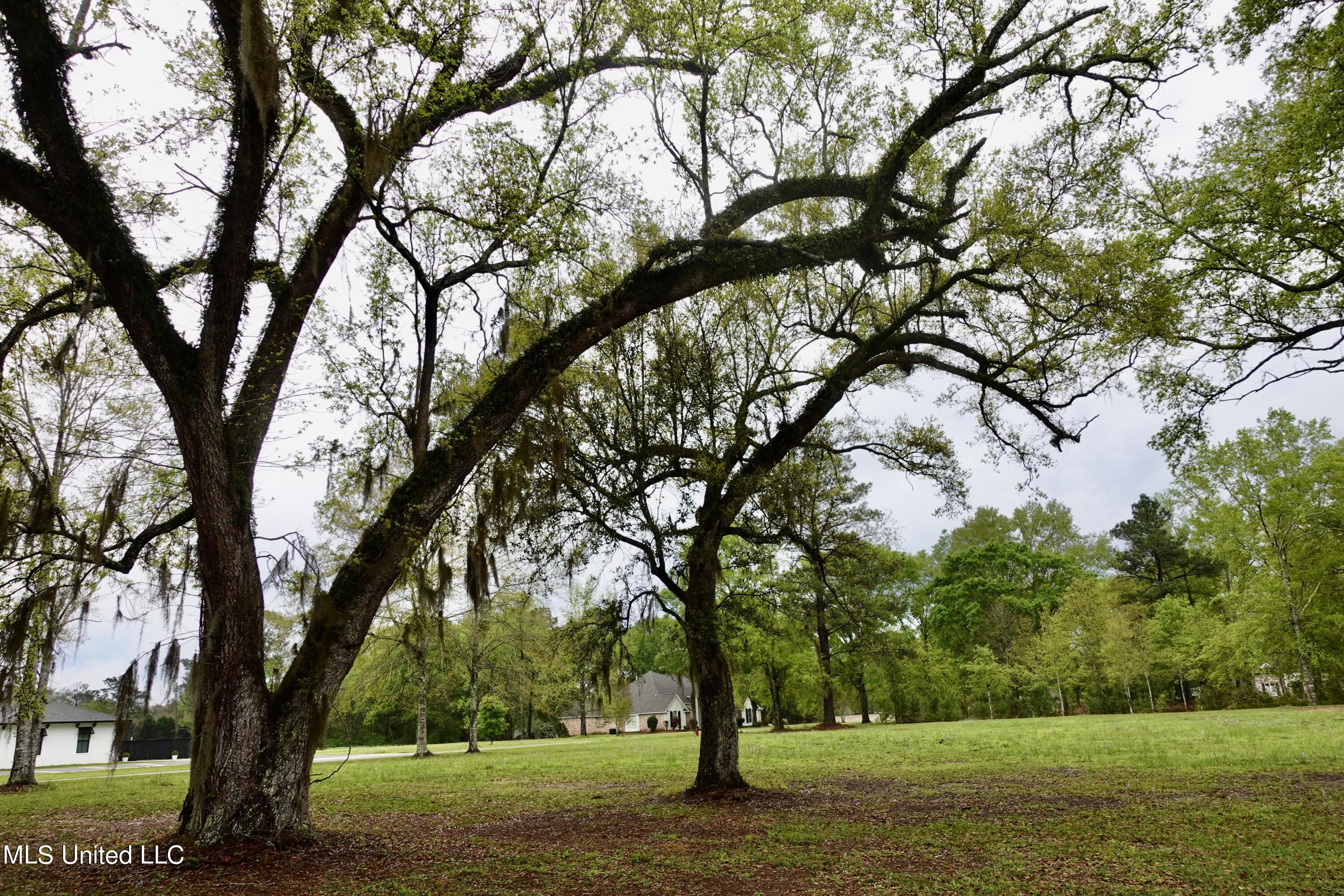 Lot 20 21 Lancair Drive, Picayune, Mississippi image 13