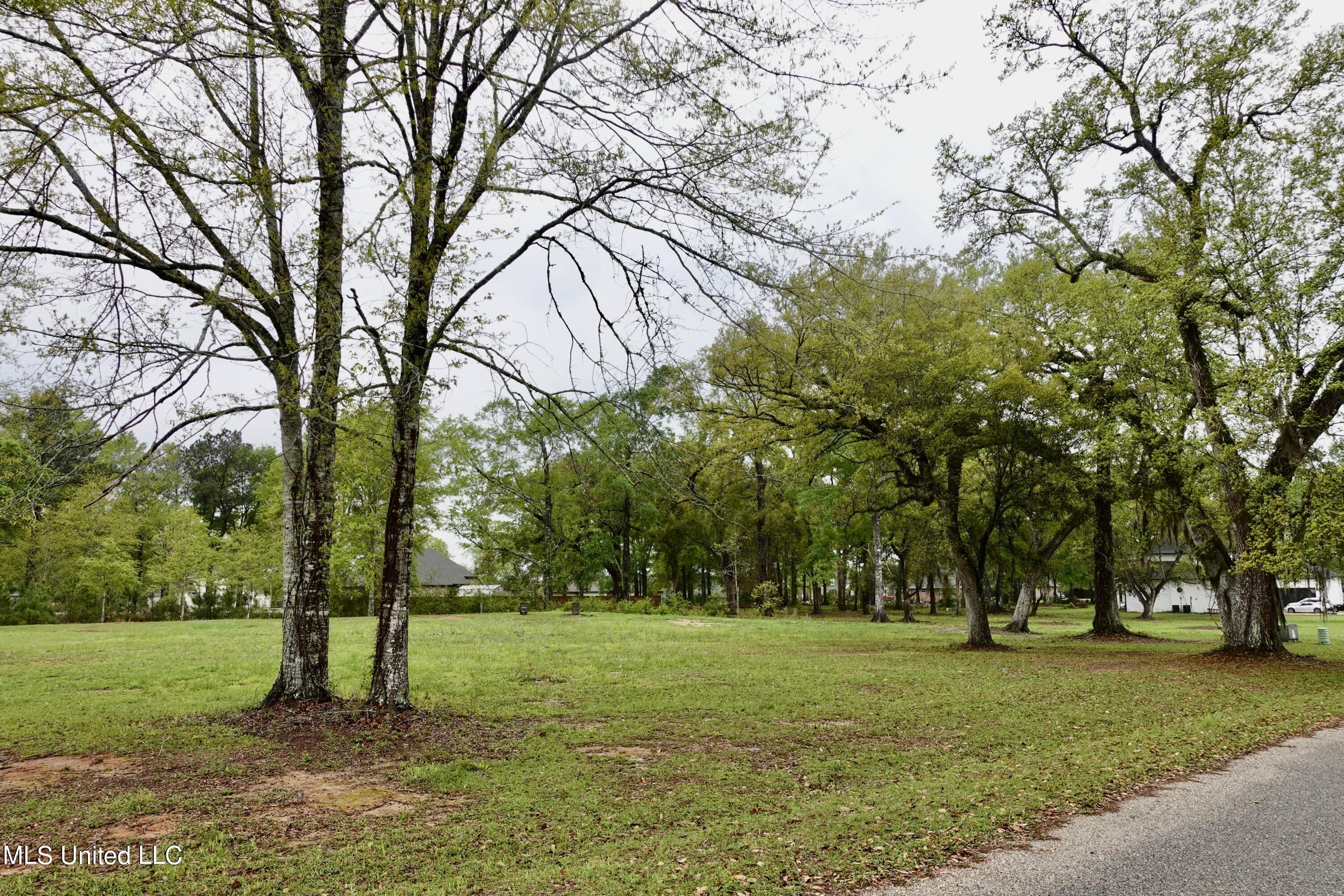 Lot 20 21 Lancair Drive, Picayune, Mississippi image 3