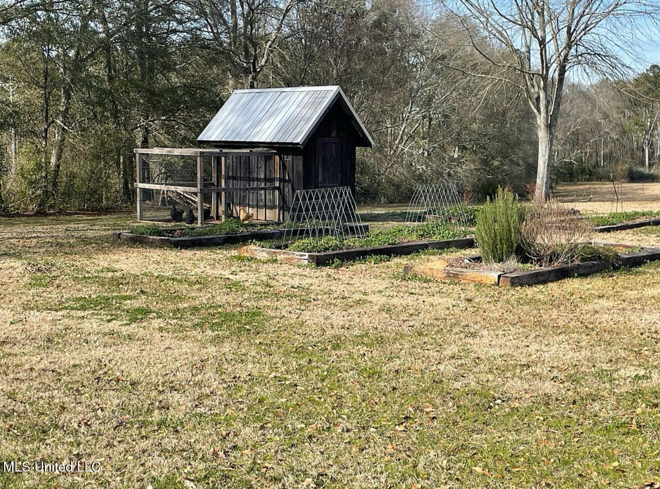 226 Antioch Rd Road, Magee, Mississippi image 12