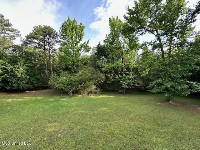 4645 Rebekah Park Drive, Olive Branch, Mississippi image 15