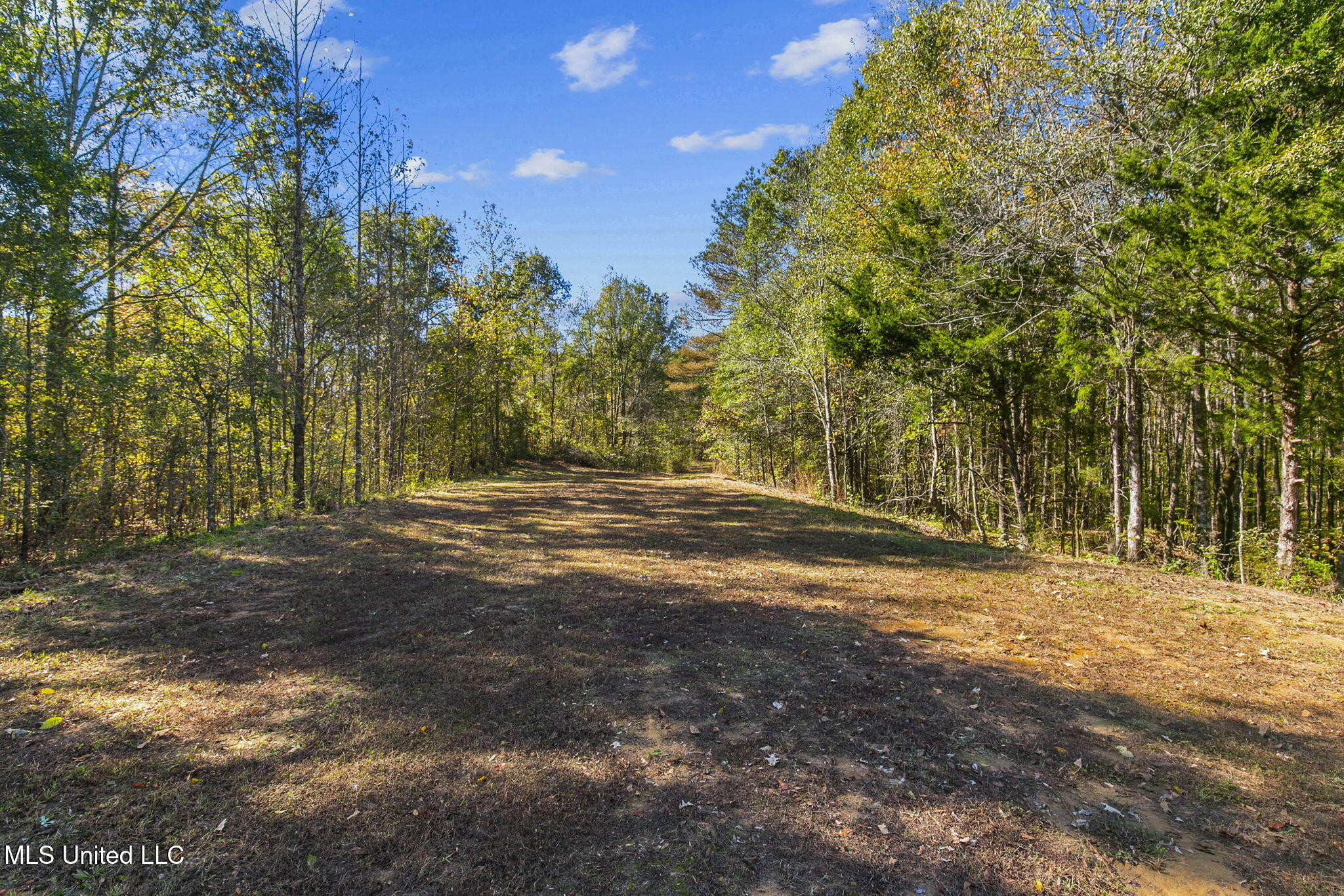 2073 Nivens Road, Benton, Mississippi image 36