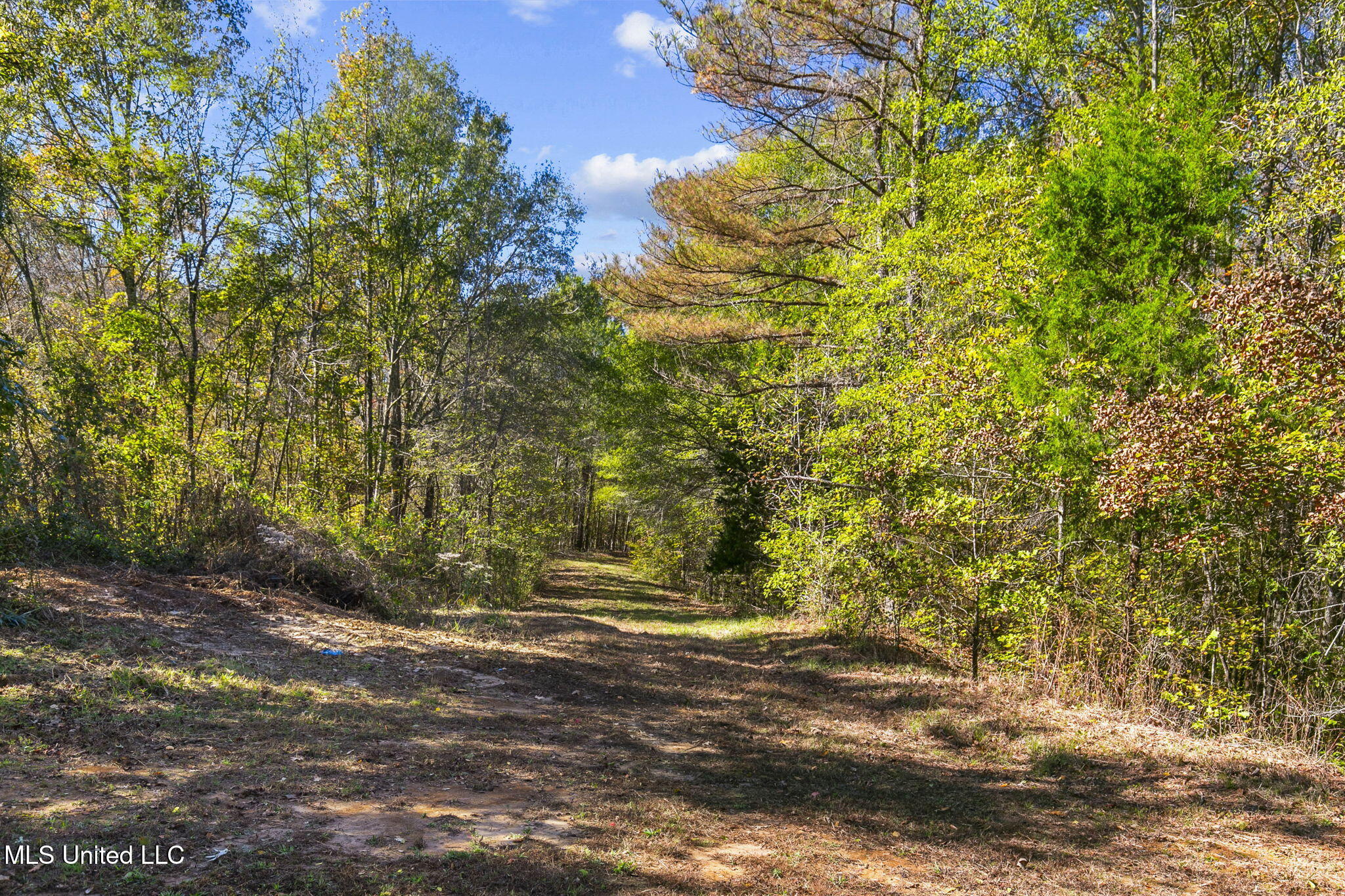 2073 Nivens Road, Benton, Mississippi image 41