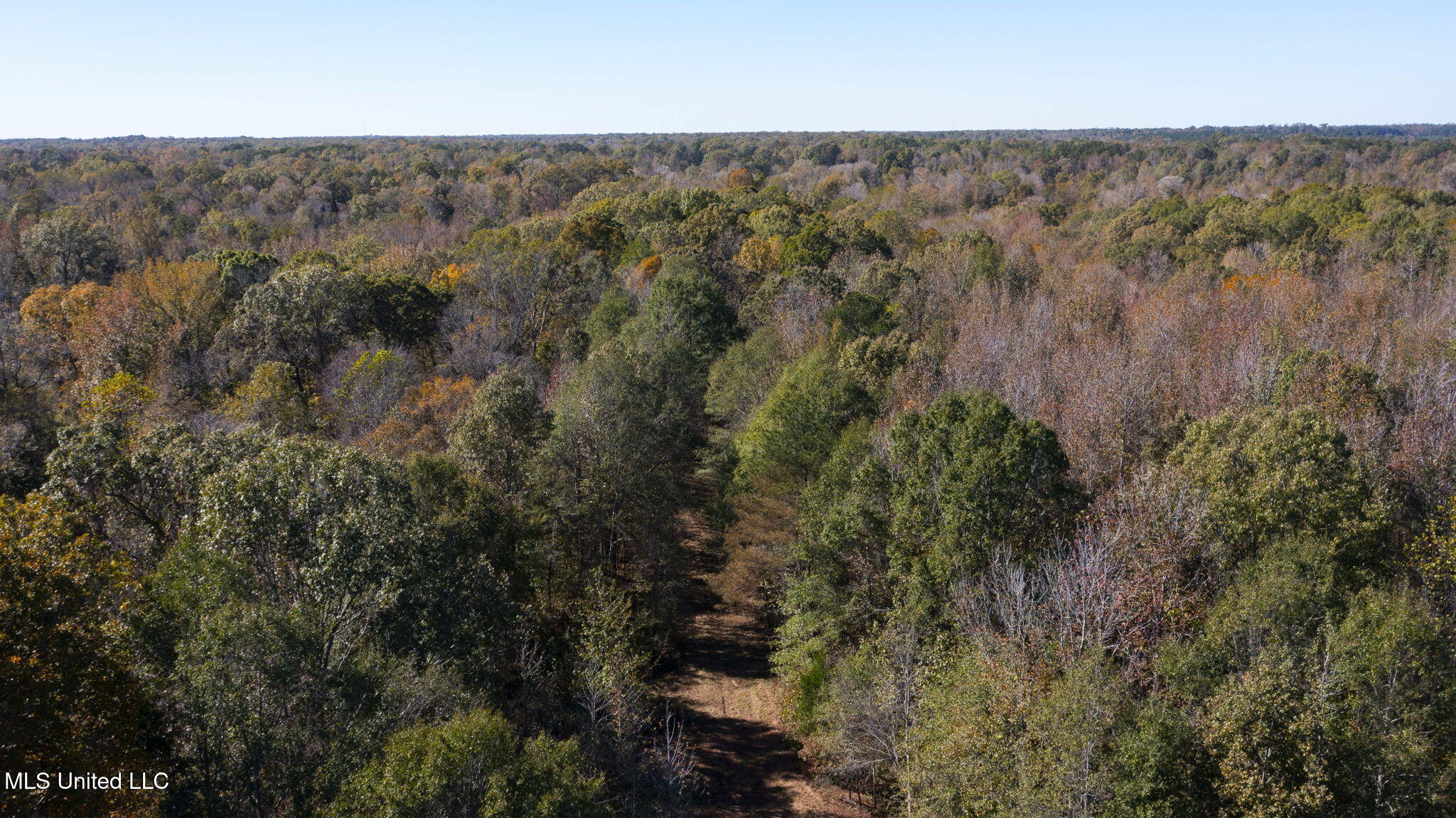 2073 Nivens Road, Benton, Mississippi image 37