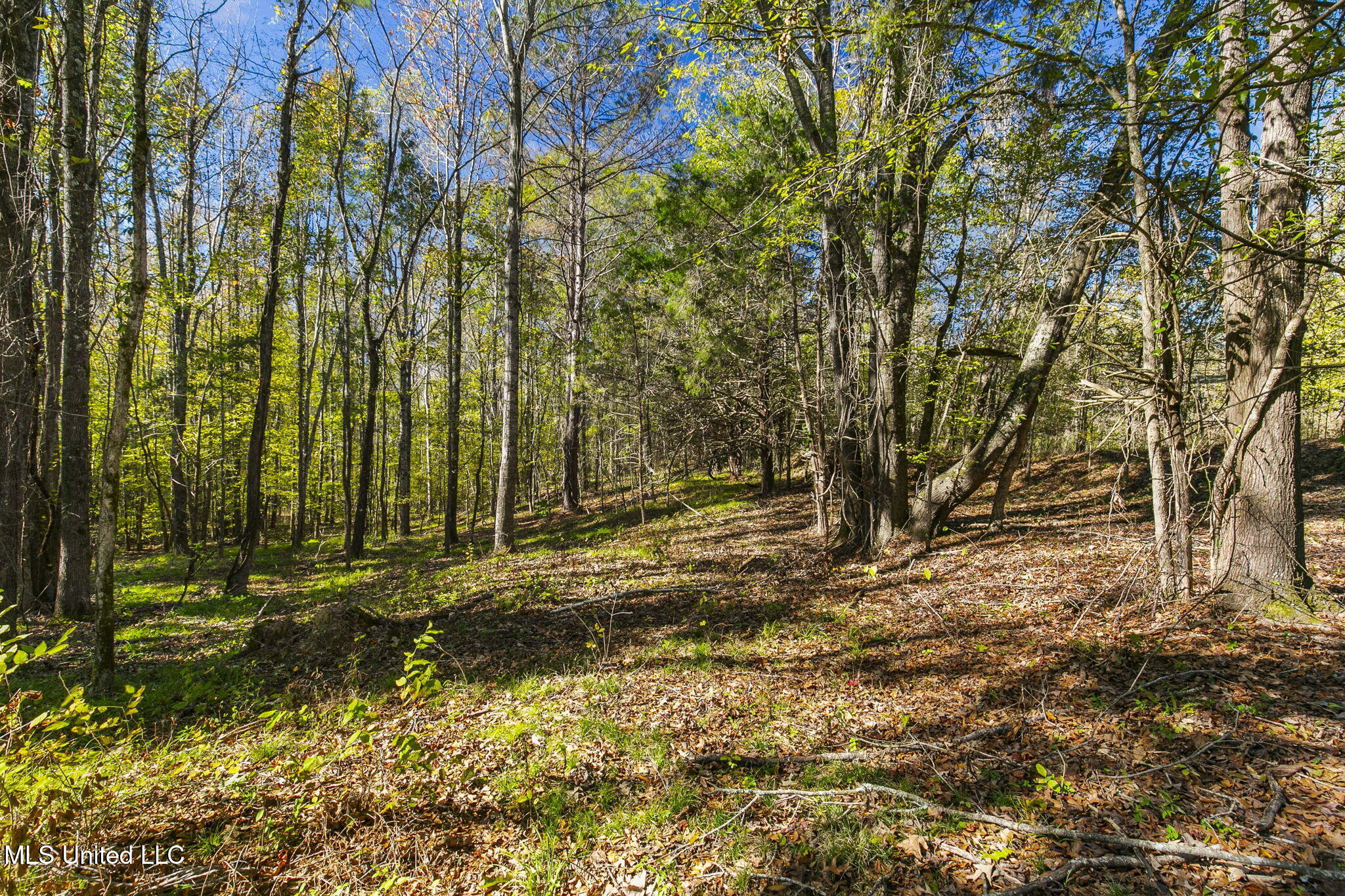 2073 Nivens Road, Benton, Mississippi image 34