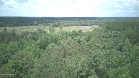 Vacant Land For Sale - 170 Flowers Road<br/> Montgomery County, Kilmichael, MS 39747