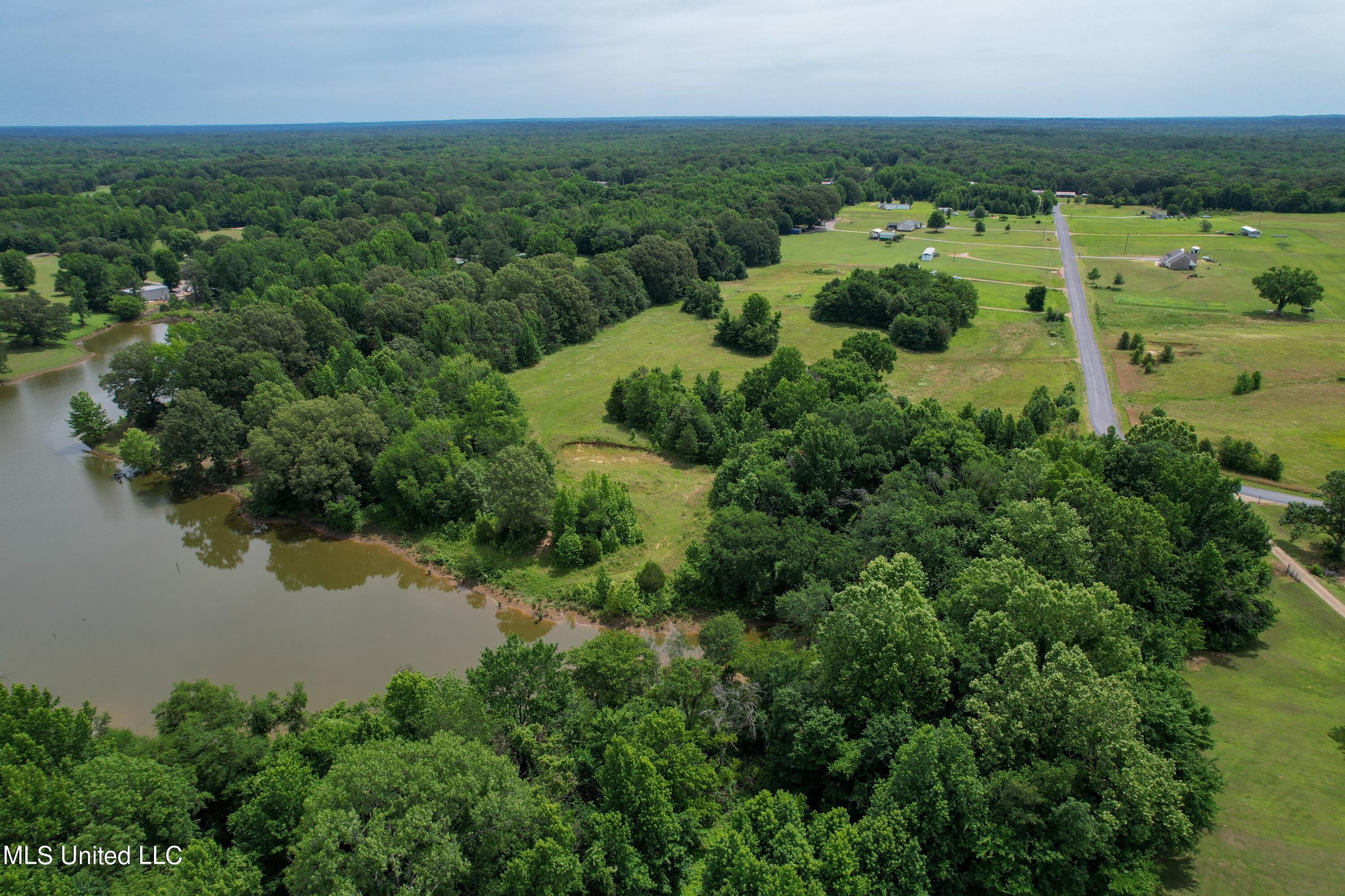 451 Cherry Tree Lane, Coldwater, Mississippi image 14