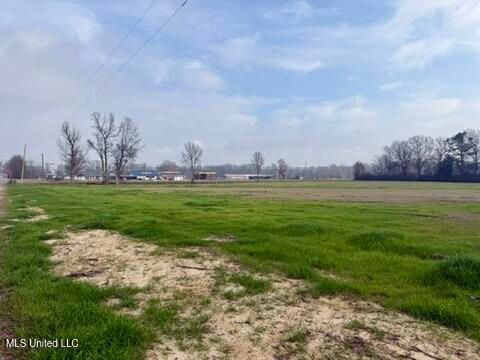 Vacant Land For Sale - Spruce Street<br/> Walnut Grove, MS 39189