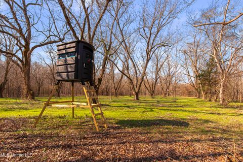 Vacant Land For Sale - 0186 Potluck Road<br/> Canton, MS 39046