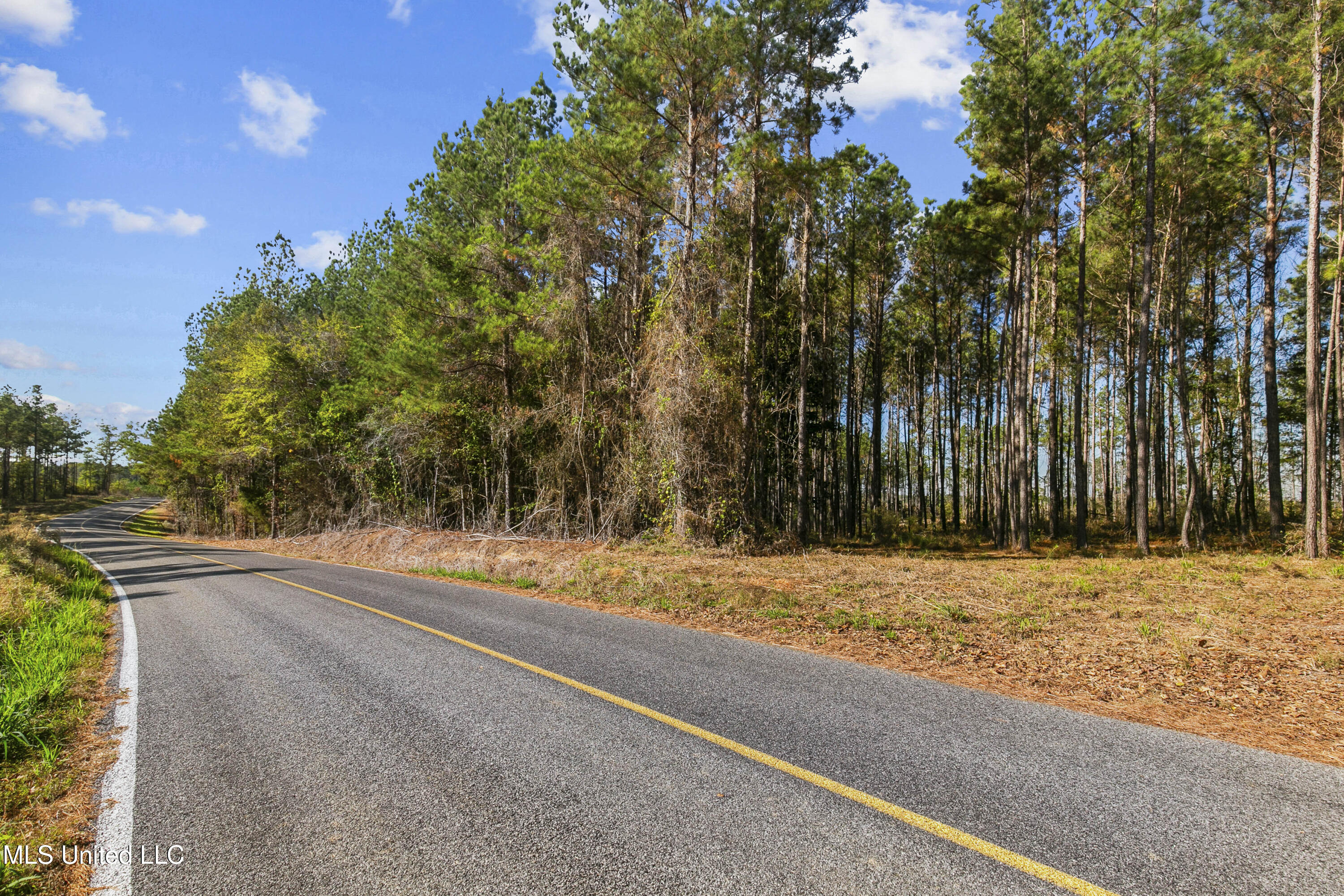 305 Loyd Irby Road, Pelahatchie, Mississippi image 9