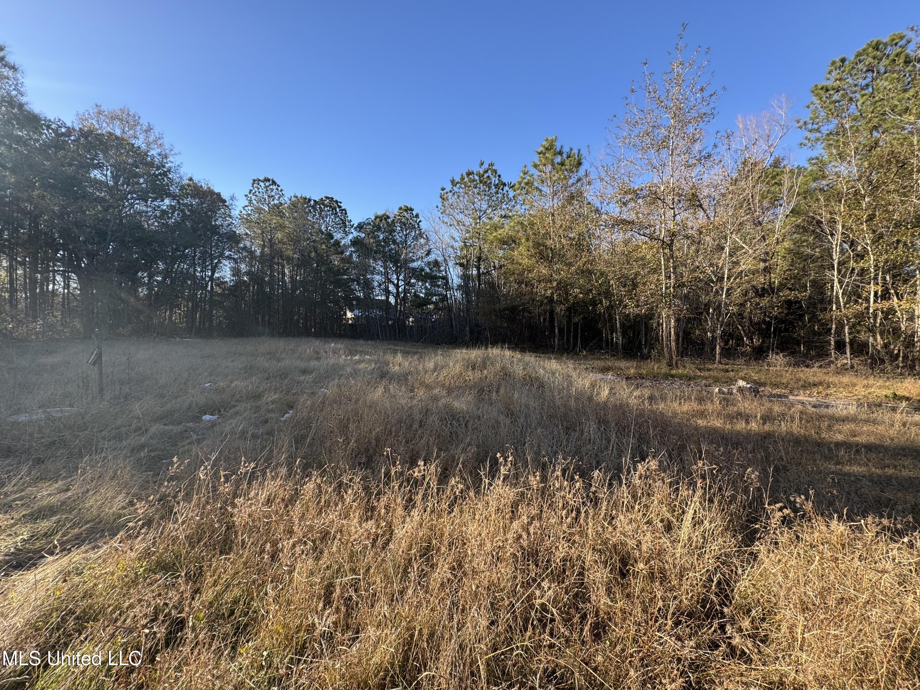 Lepoma Ave Avenue, Biloxi, Mississippi image 4