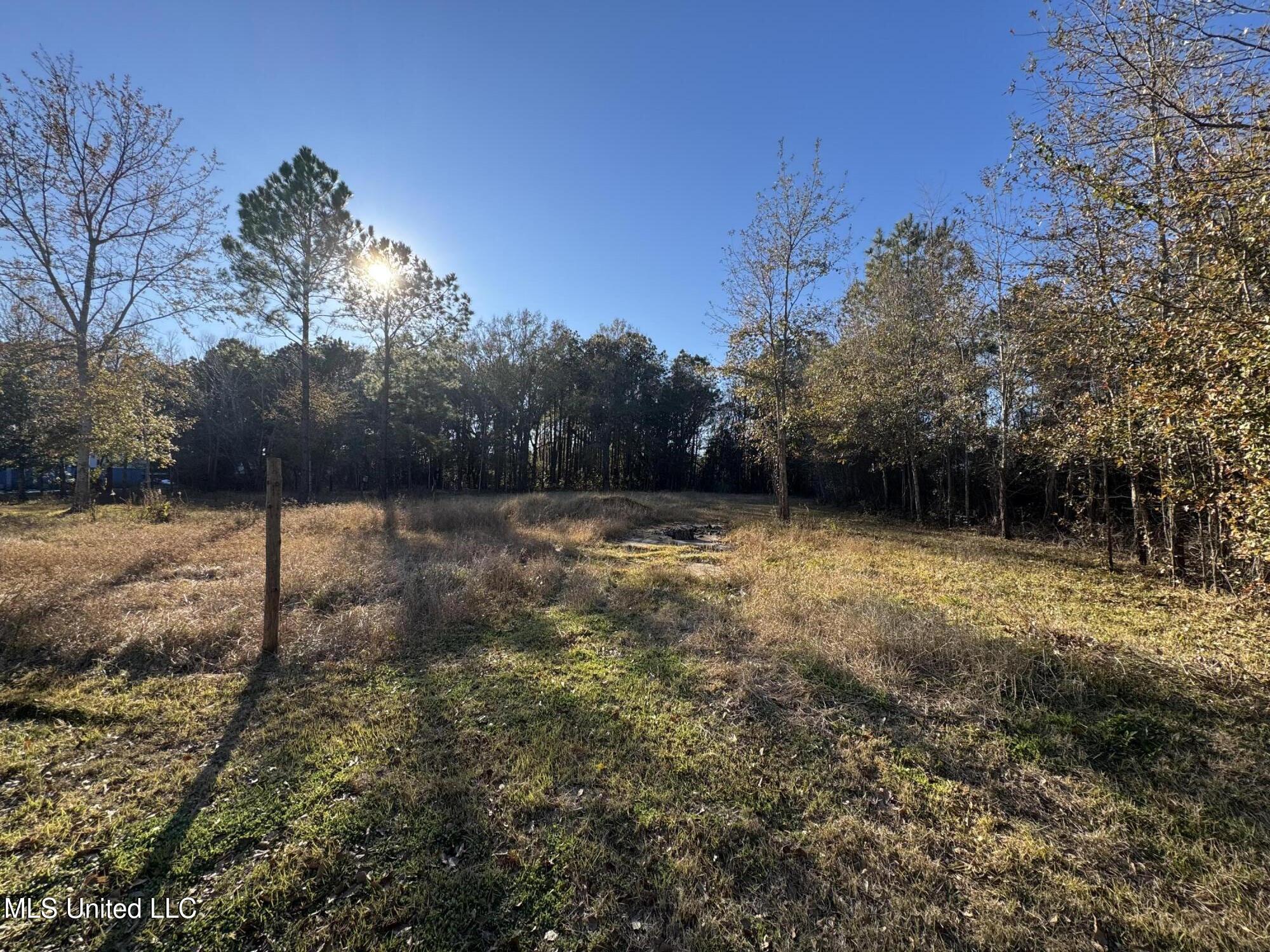 Lepoma Ave Avenue, Biloxi, Mississippi image 2