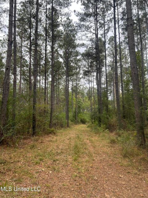Vacant Land For Sale - Enon Sartinville Road<br/> Jayess, MS 39641