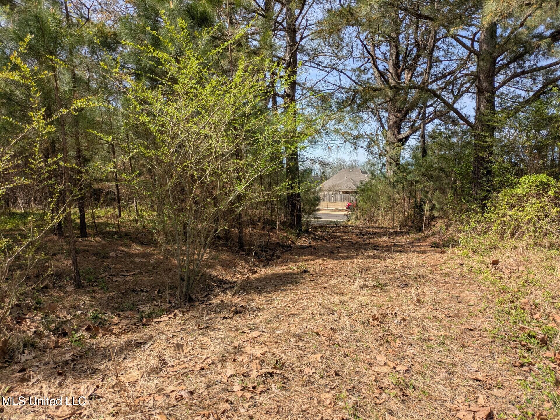 3774 Getwell Road, Southaven, Mississippi image 3