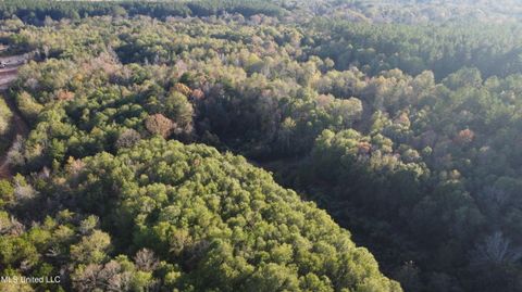 Vacant Land For Sale - 10 Mile Creek Road<br/> Foxworth, MS 39483