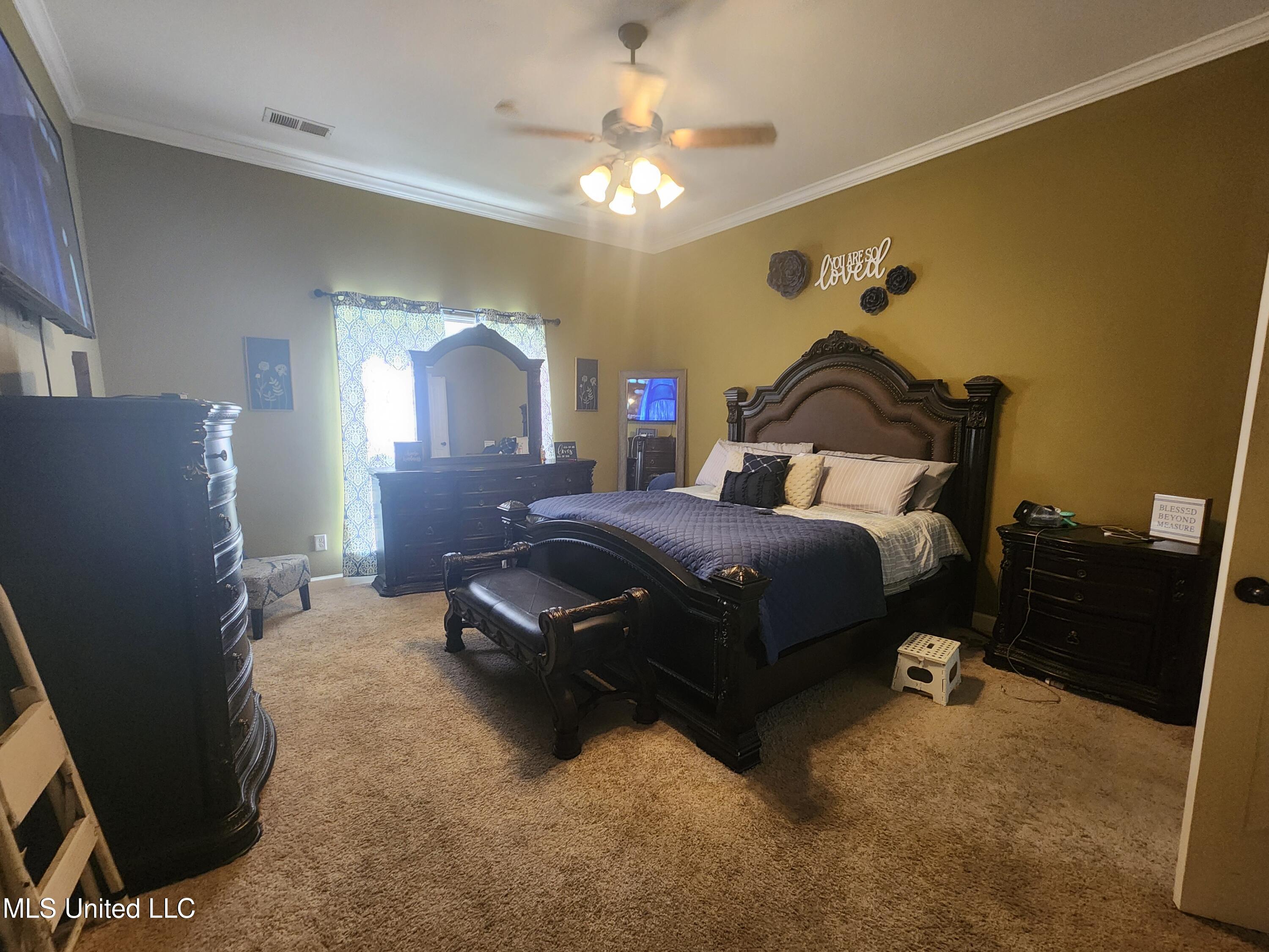 3899 Chandler Drive, Southaven, Mississippi image 9