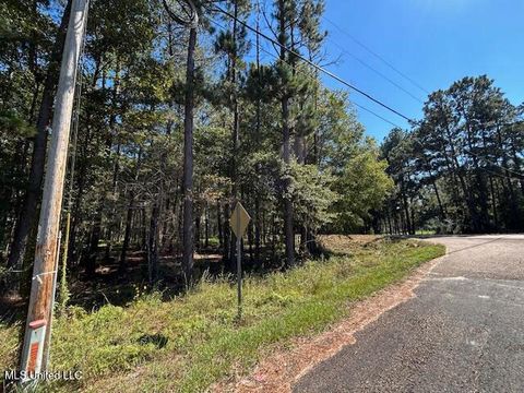 Vacant Land For Sale - Country Lake Rd<br/> Summit, MS 39666
