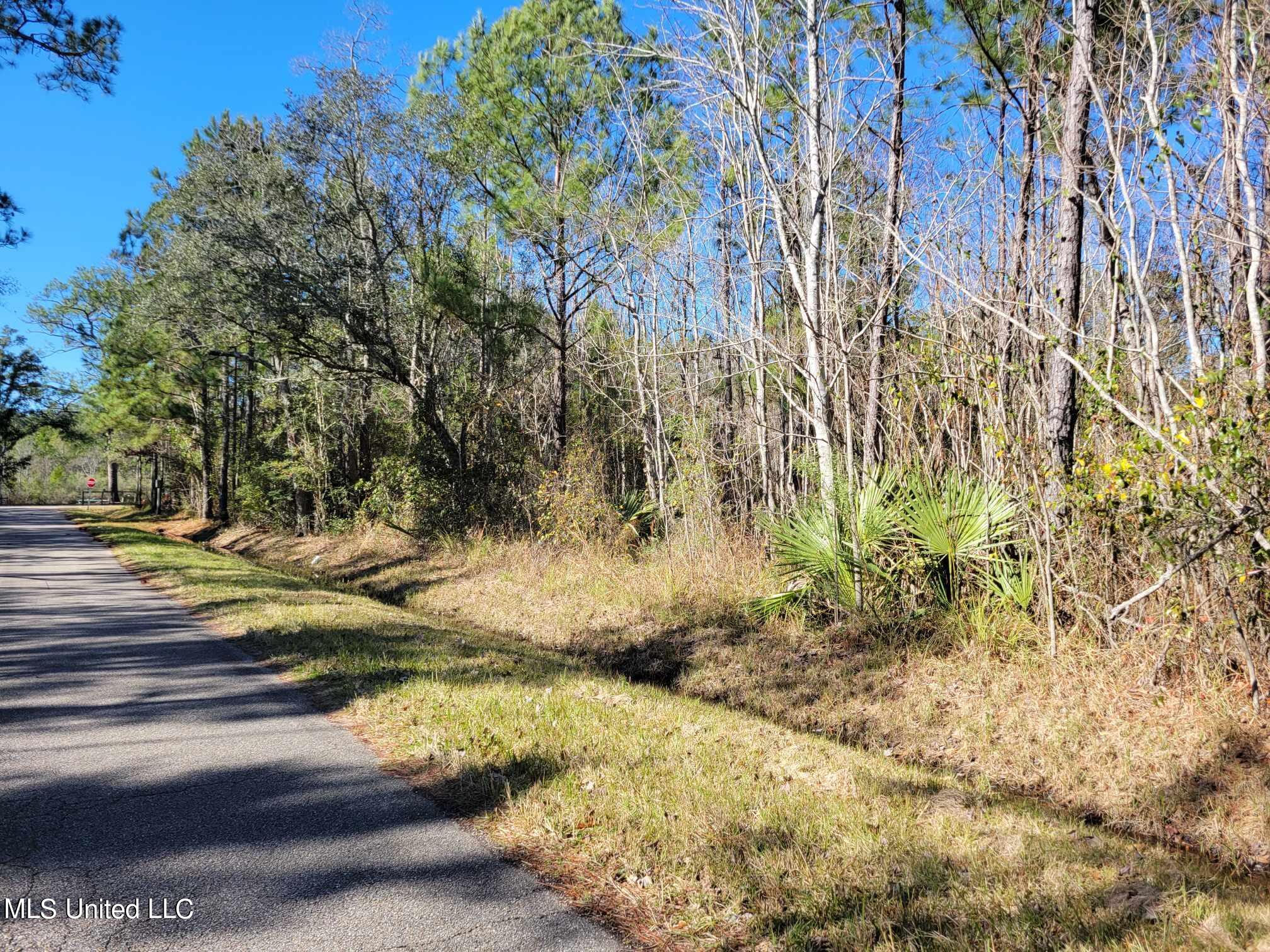 00 Wolf Street, Waveland, Mississippi image 2