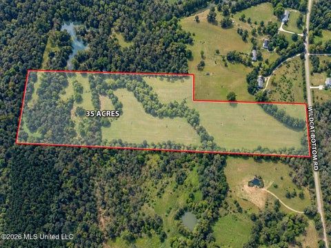 Vacant Land For Sale - Wildcat Bottom Road<br/> Marshall County, Red Banks, MS 38661