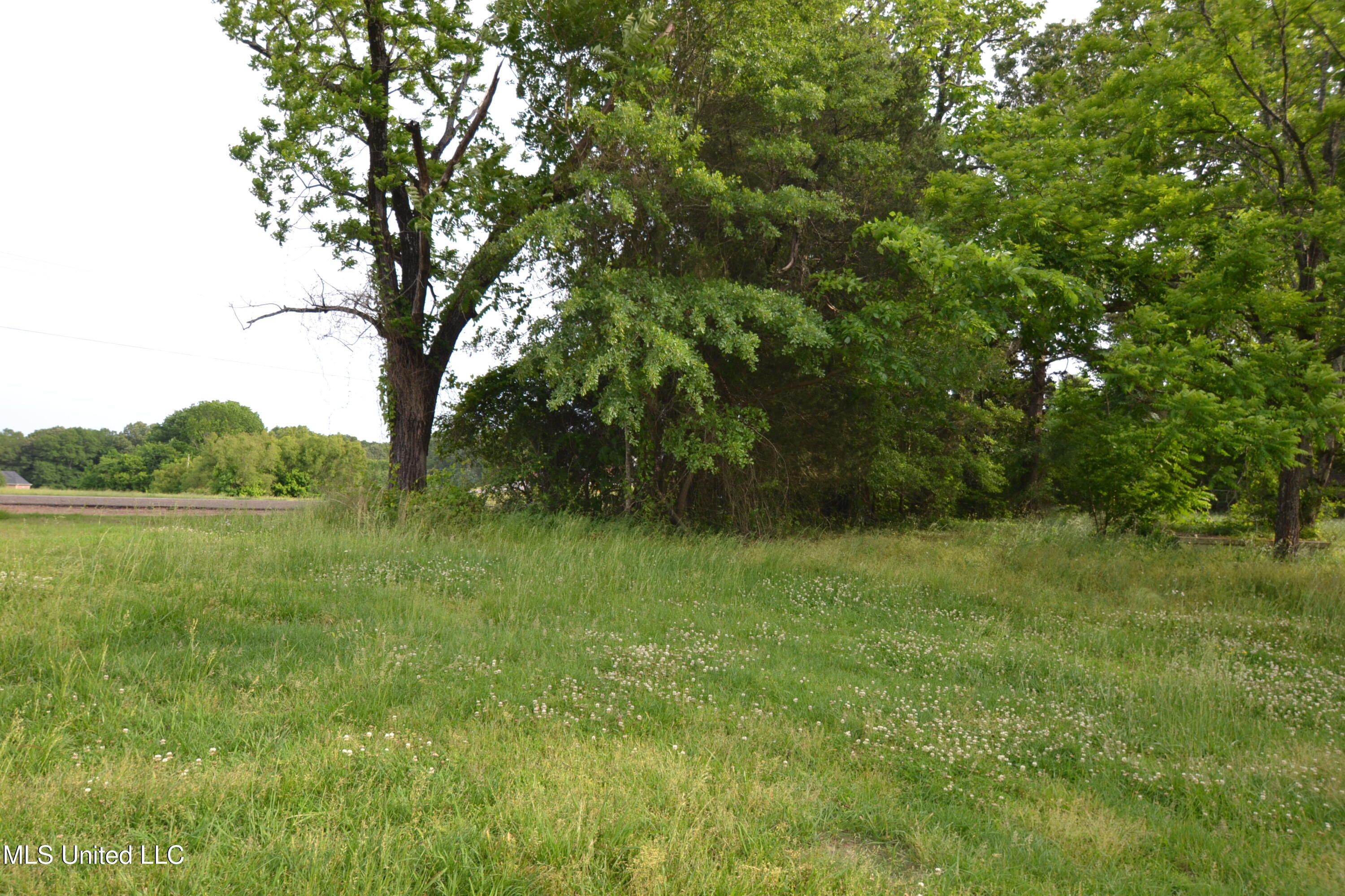 443 Highway 305 N, Olive Branch, Mississippi image 9