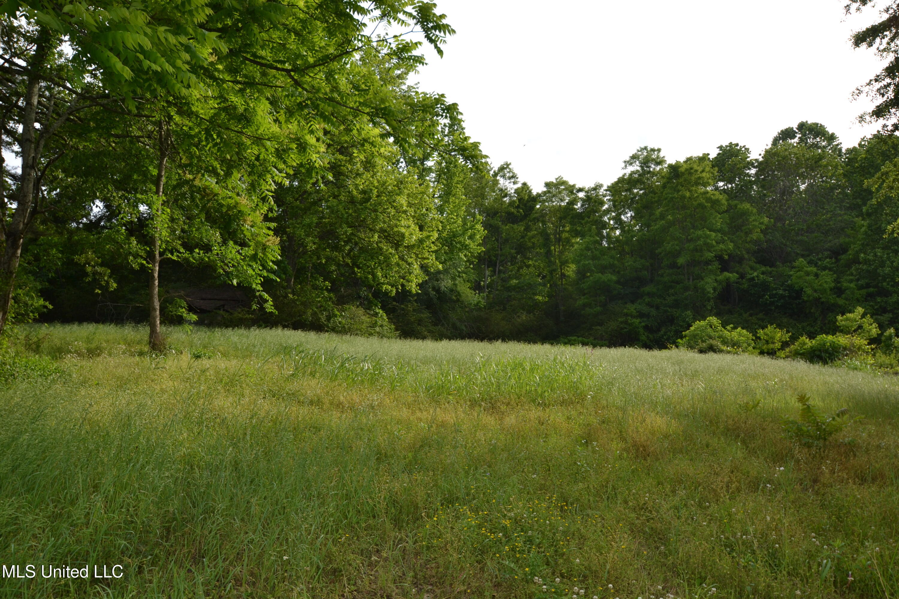 443 Highway 305 N, Olive Branch, Mississippi image 1